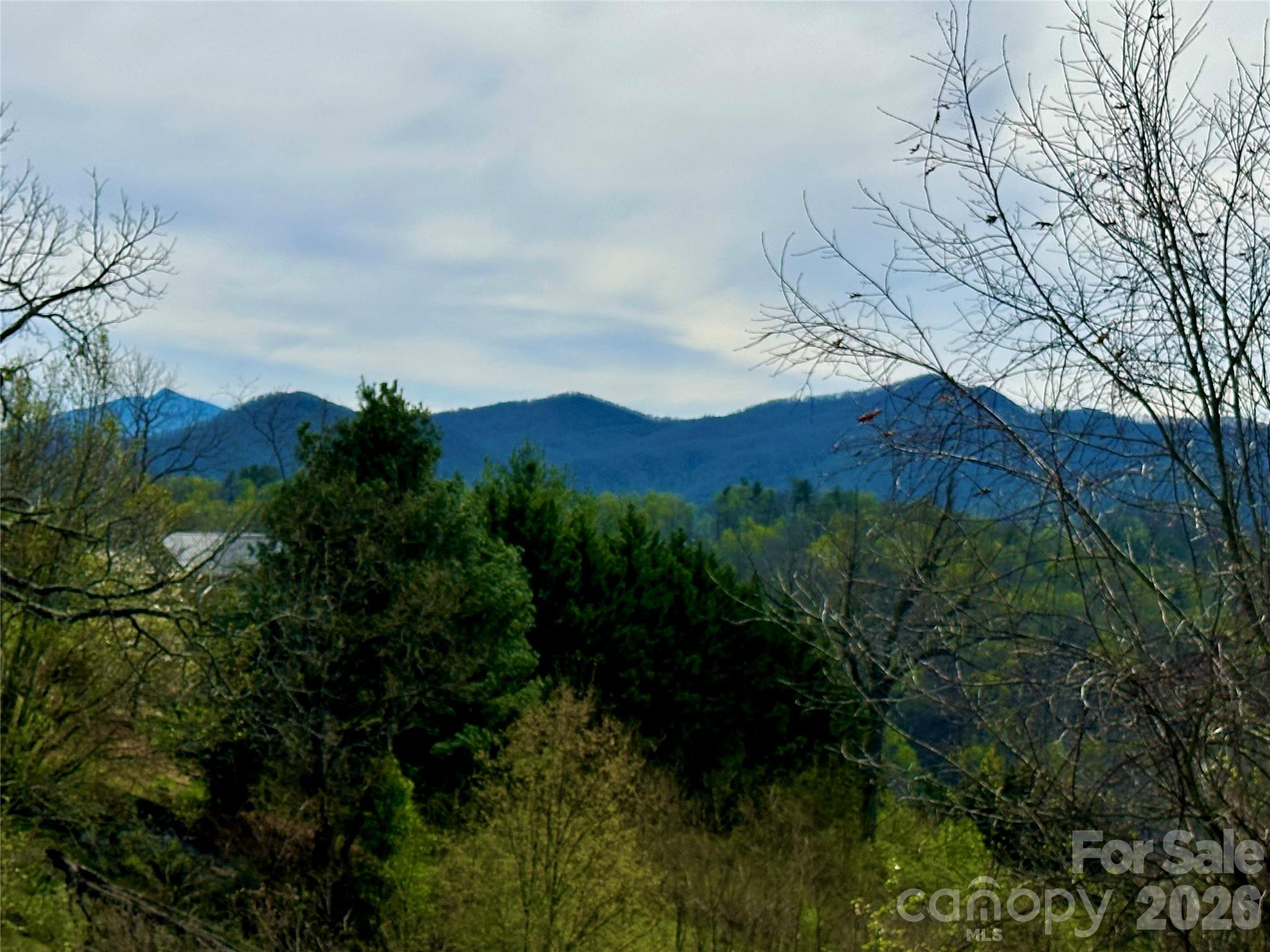 000 Sunset Mountain Road 12 Property Photo 14