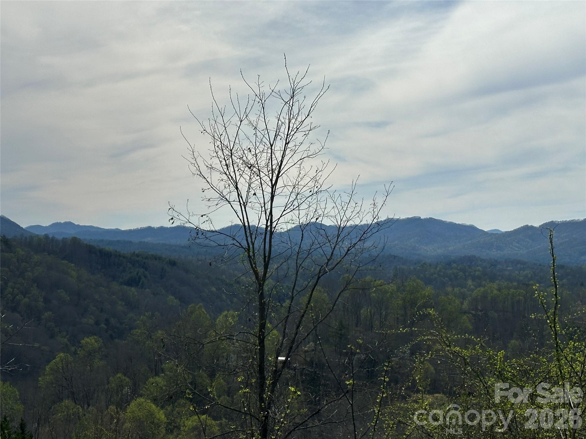 000 Sunset Mountain Road 12 Property Photo 15