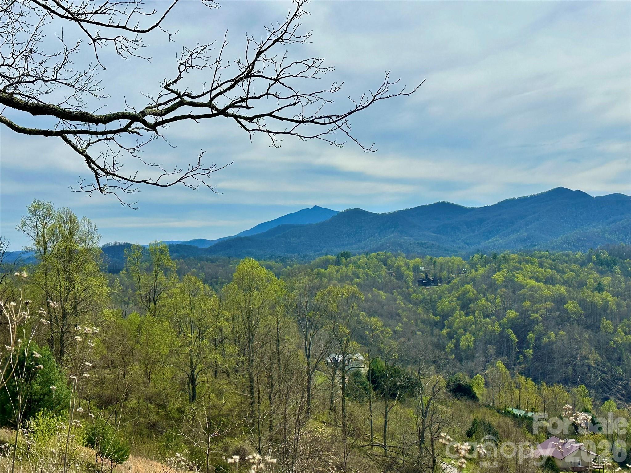 000 Sunset Mountain Road 12 Property Photo 16