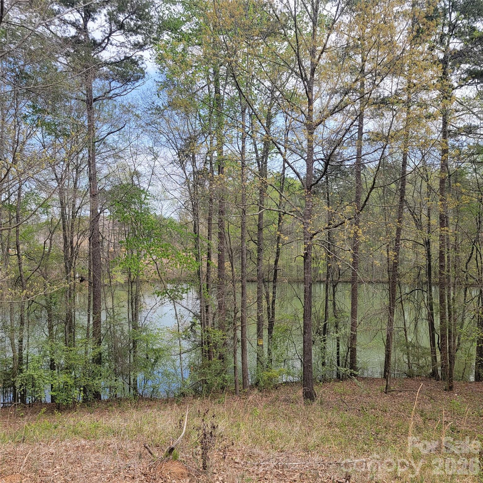 230 Walnut Street Property Photo 1