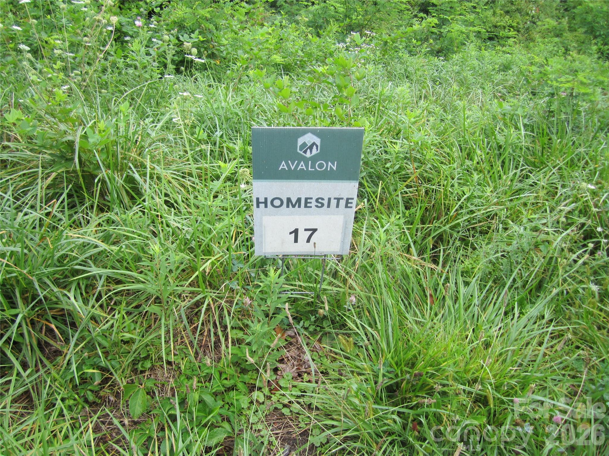 000 Signature Row Boulevard Lot 17 Property Photo 4