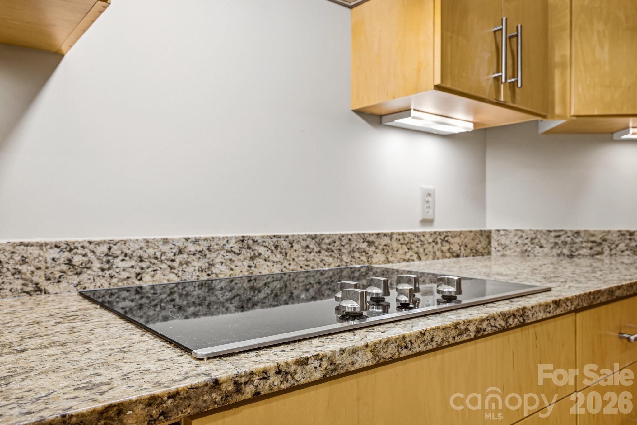 21 Battery Park Avenue 307 Property Photo 15