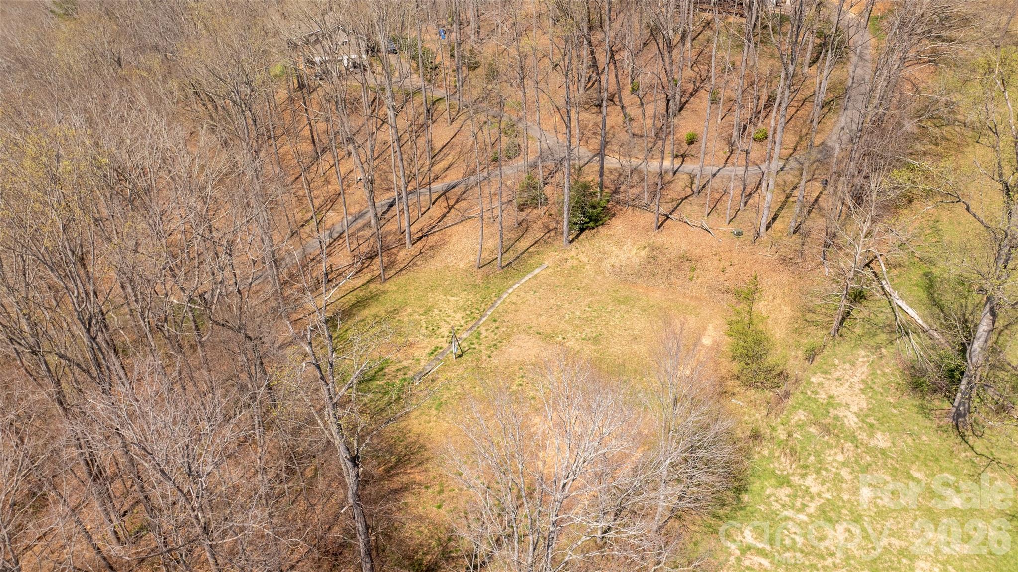 90 Last Coyote Trail Property Photo 6