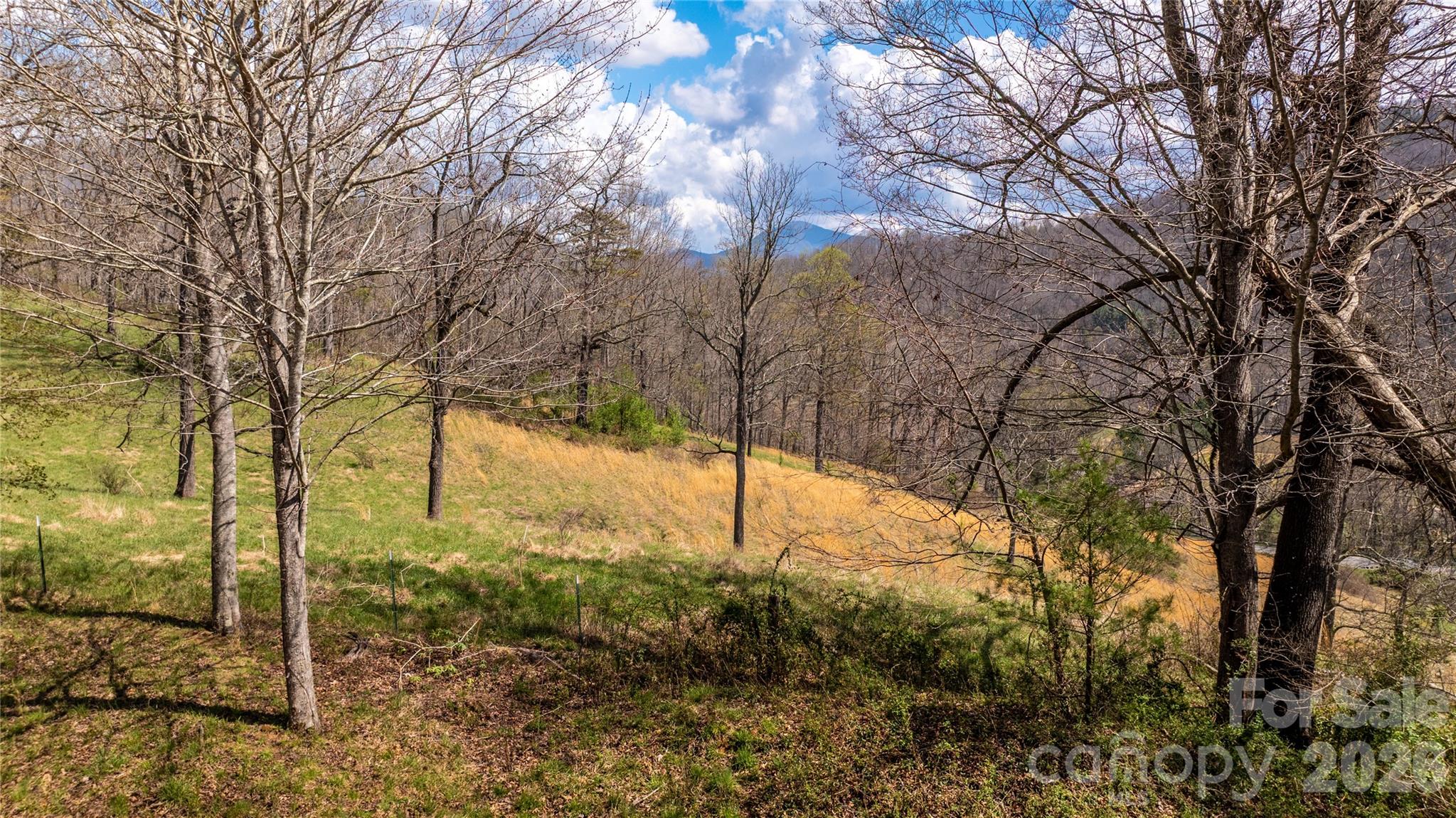 90 Last Coyote Trail Property Photo 15