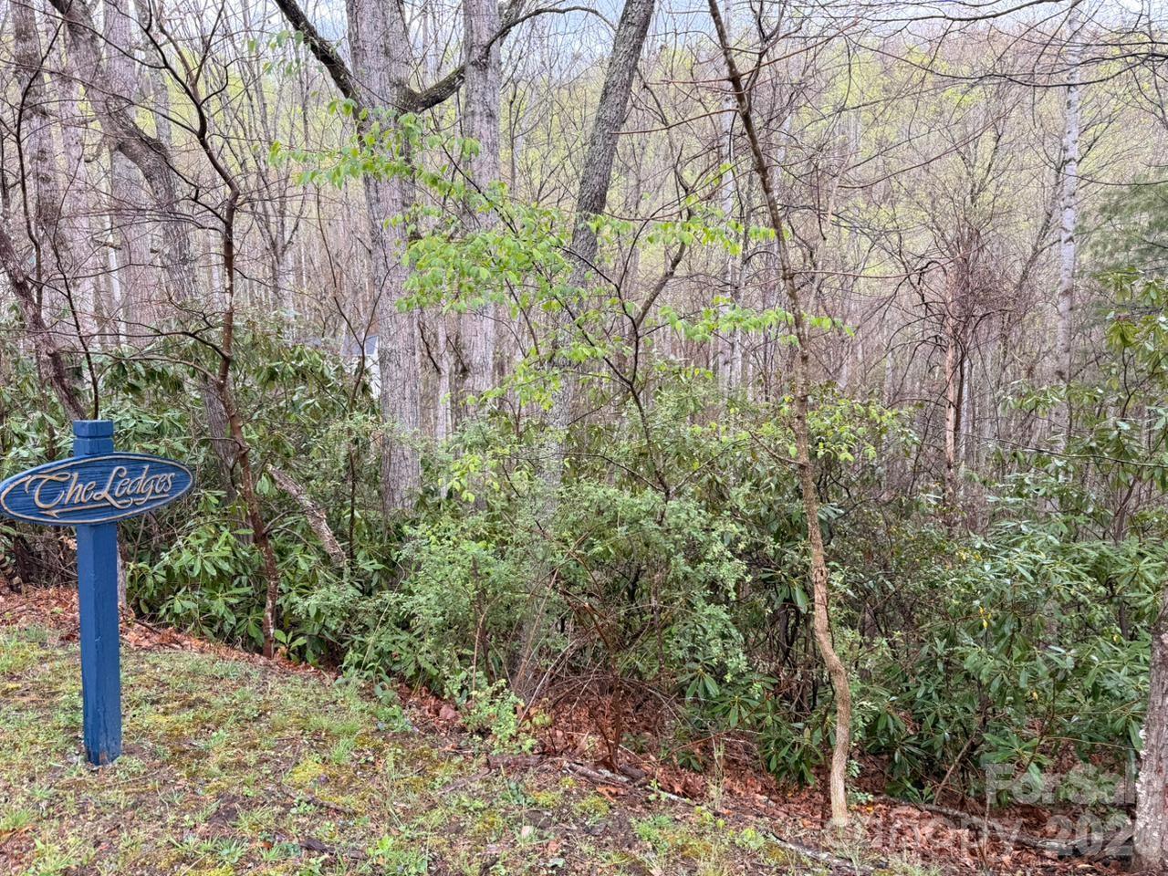 000 Ridgeview Drive Property Photo 2