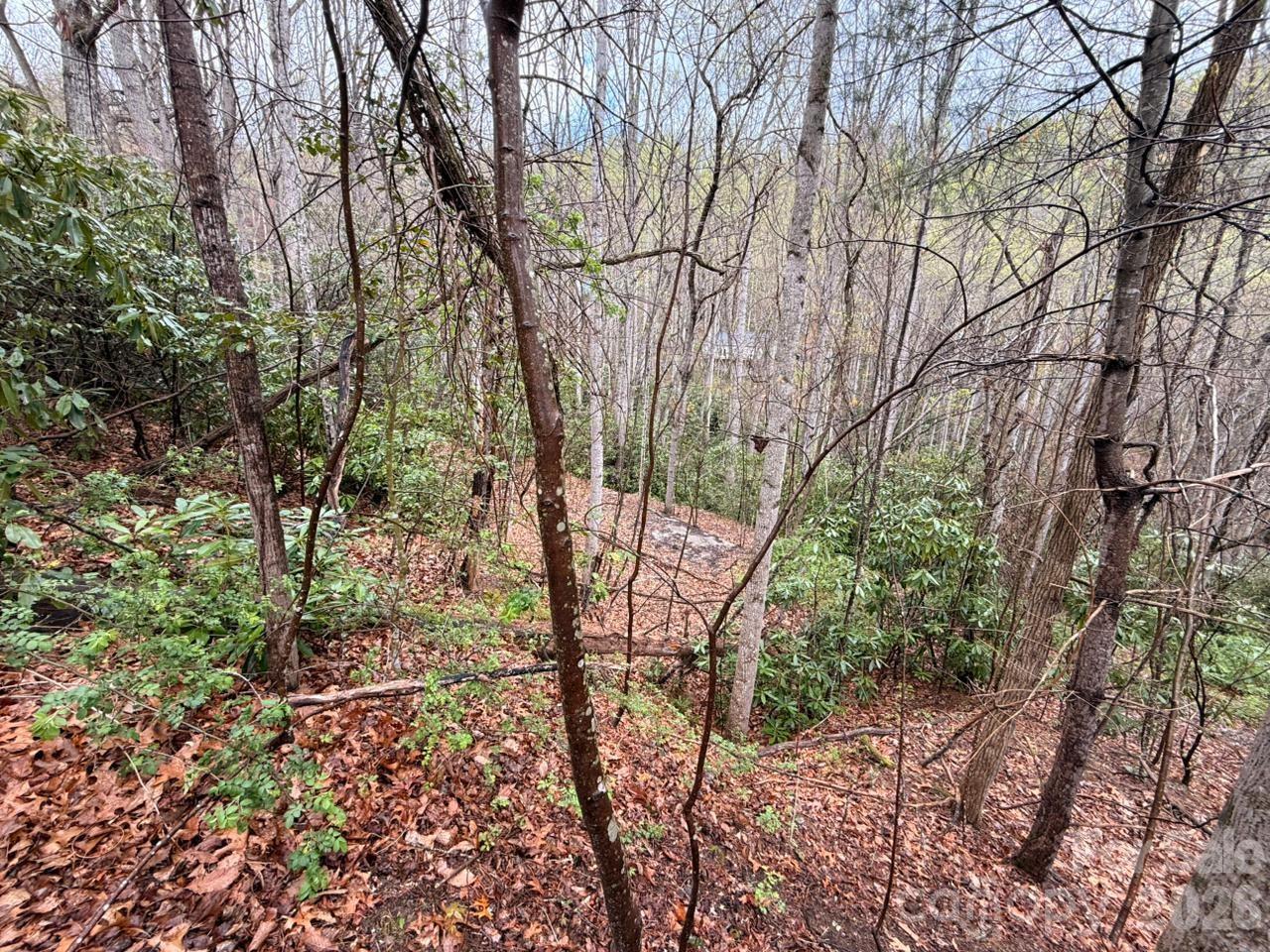 000 Ridgeview Drive Property Photo 12
