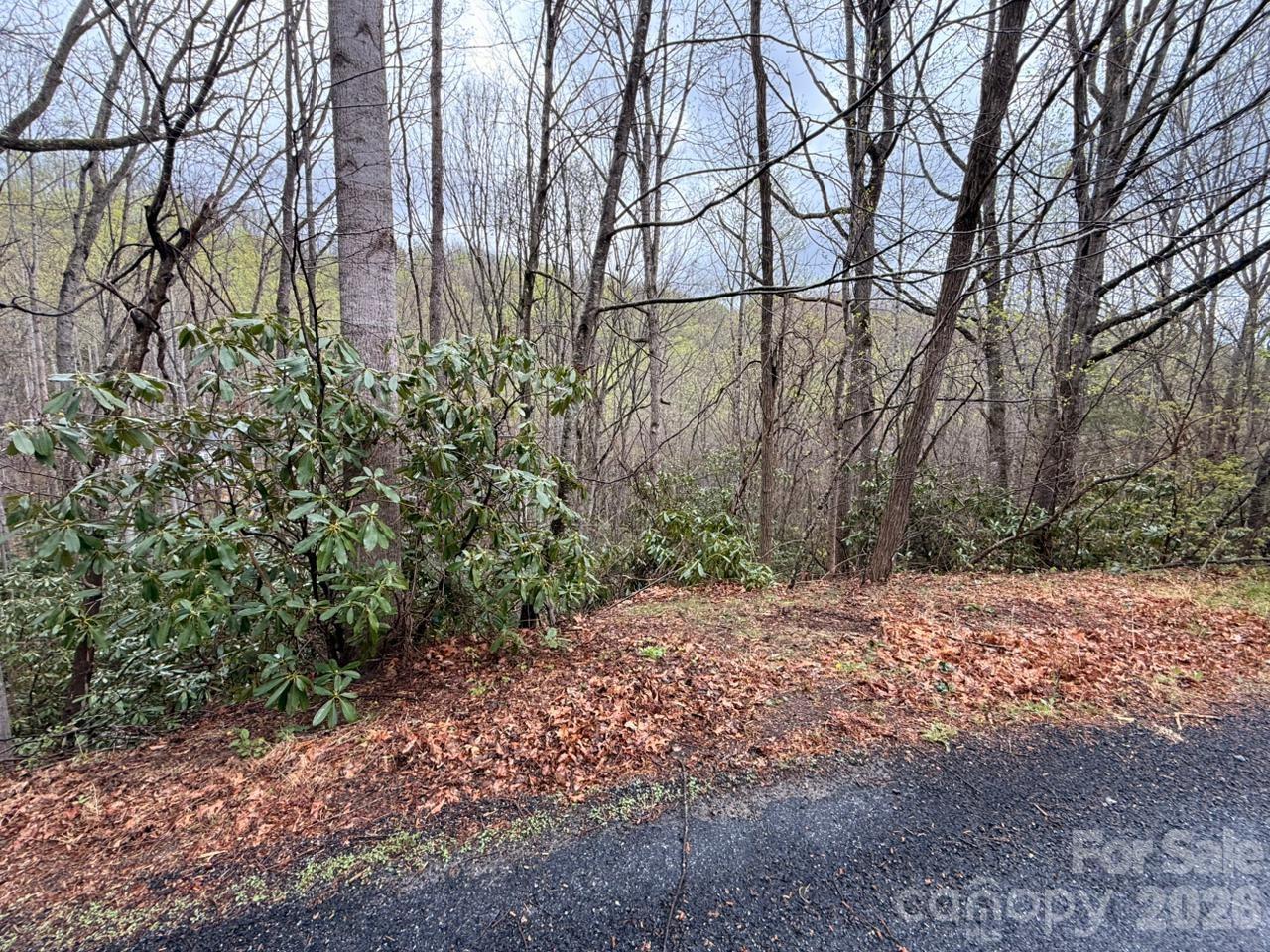 000 Ridgeview Drive Property Photo 15