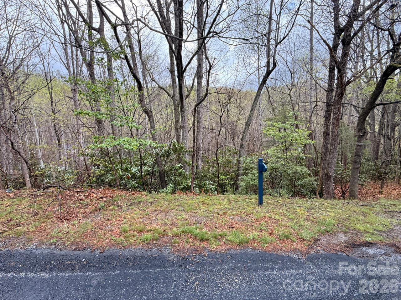 000 Ridgeview Drive Property Photo 16