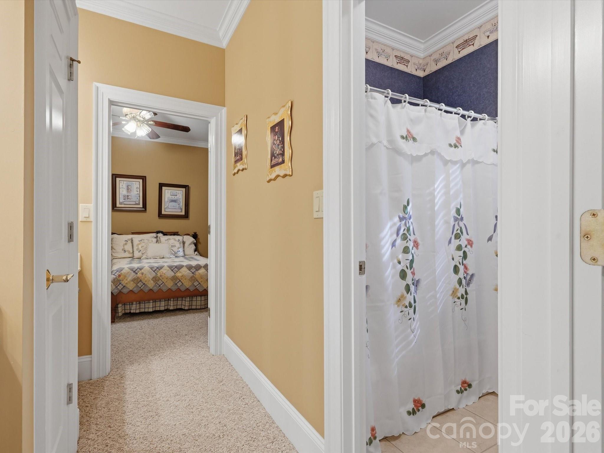 1215 Rosa Drive Property Photo 32