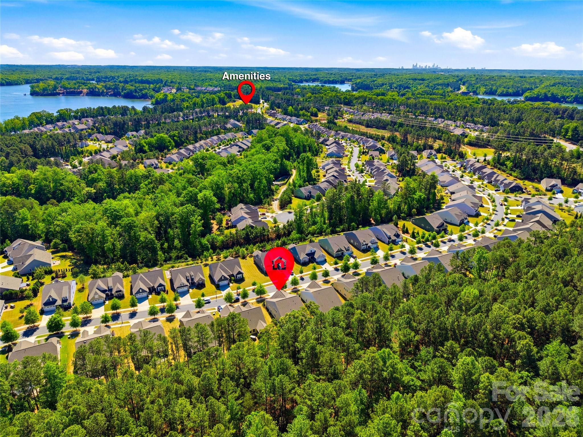 124 Van Gogh Trail Property Photo 45