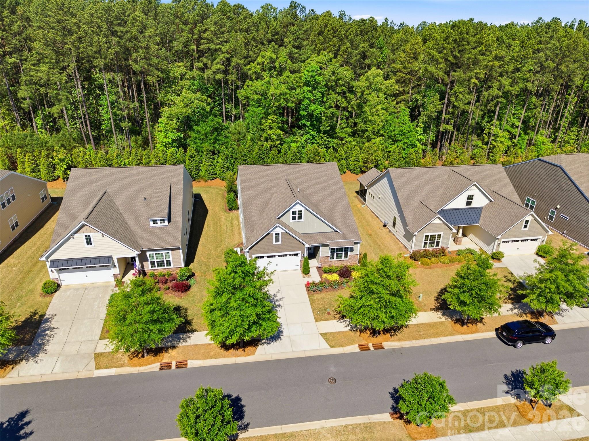 124 Van Gogh Trail Property Photo 47