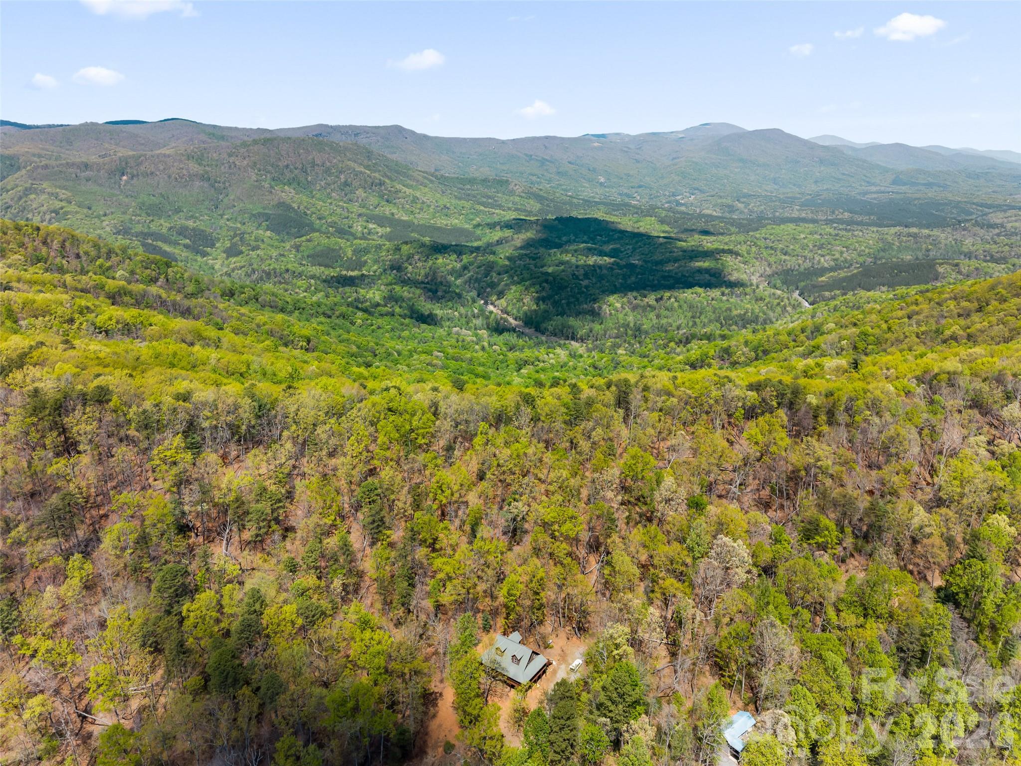 462 Deep Woods Lane Property Photo 35