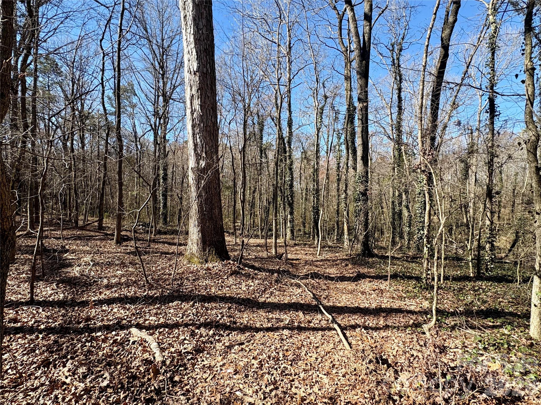 1417 Ellis Griffin Road Property Photo 4