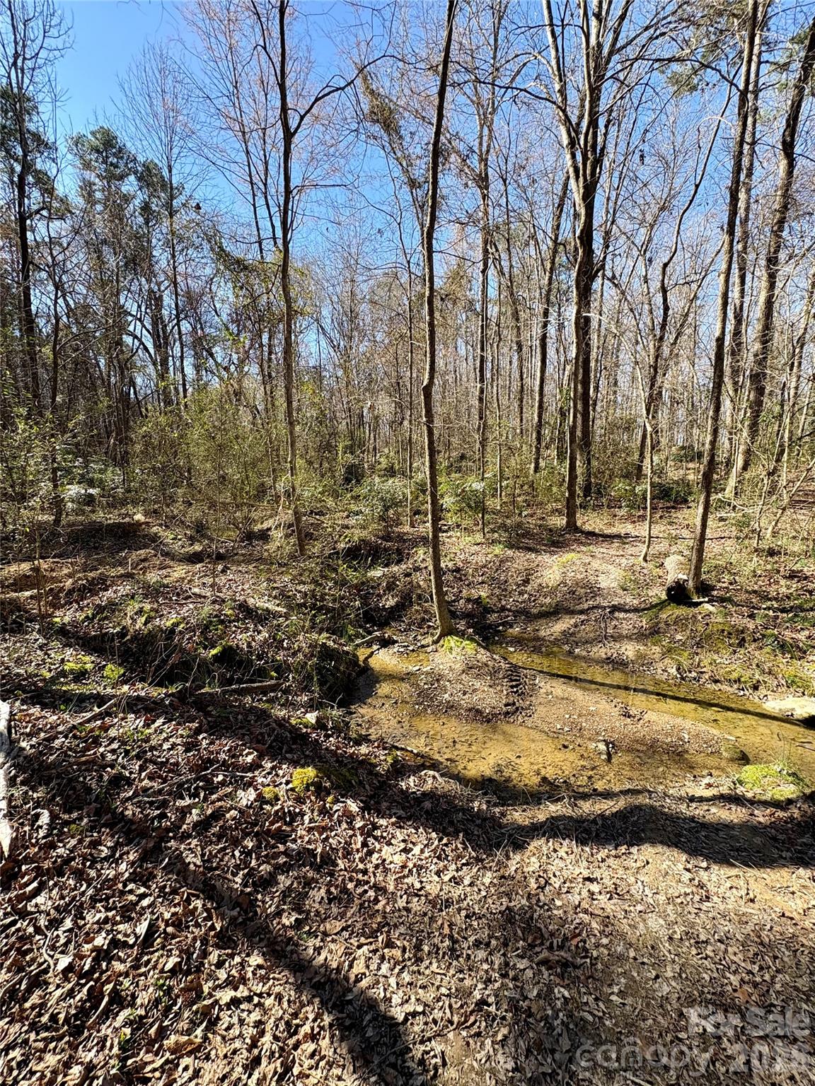 1417 Ellis Griffin Road Property Photo 7