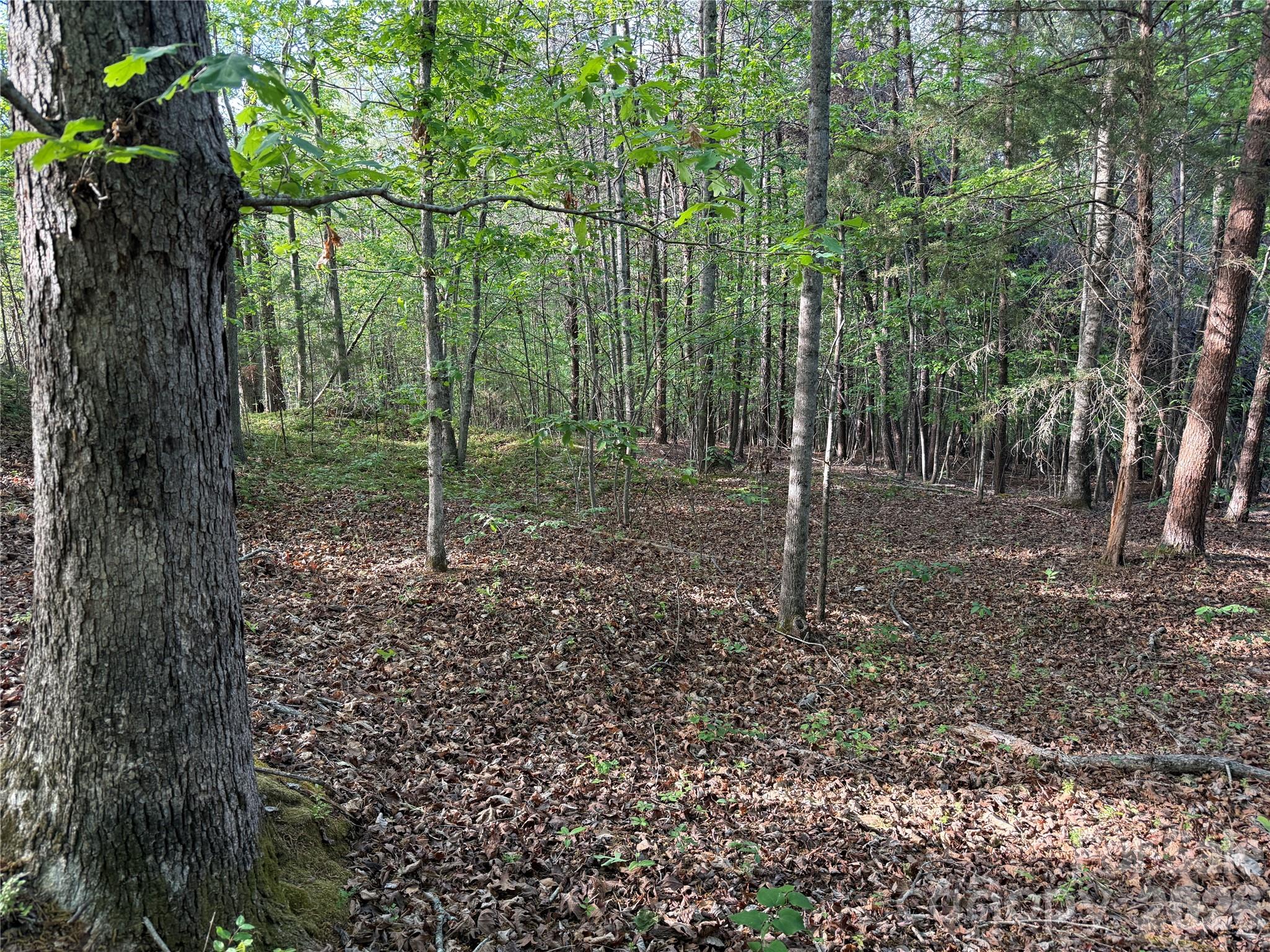 0 Shenandoah Drive 3b Property Photo 3