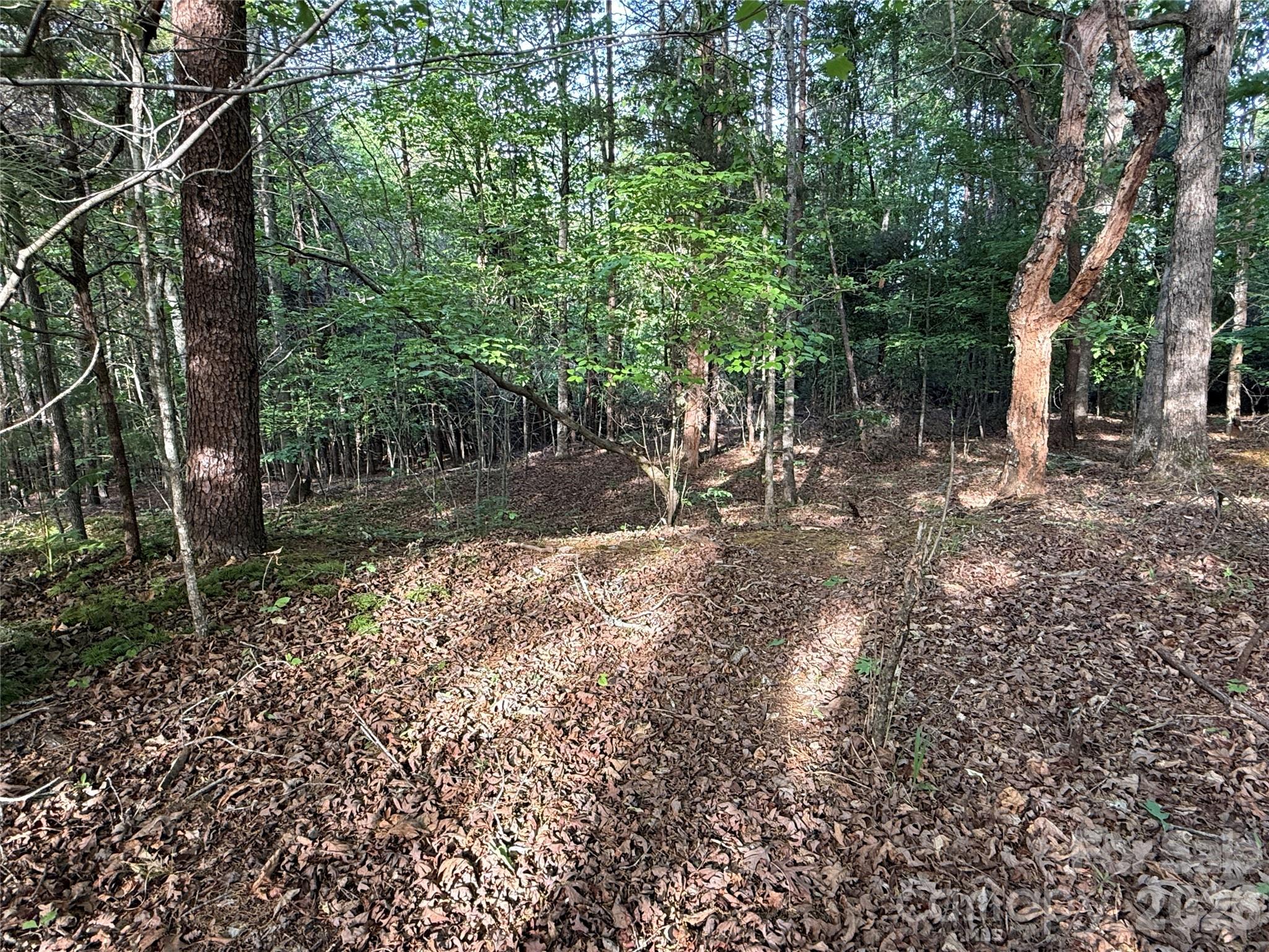 0 Shenandoah Drive 3b Property Photo 5