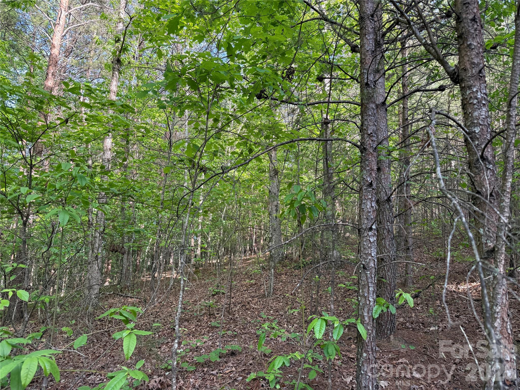 0 Shenandoah Drive 3b Property Photo 6