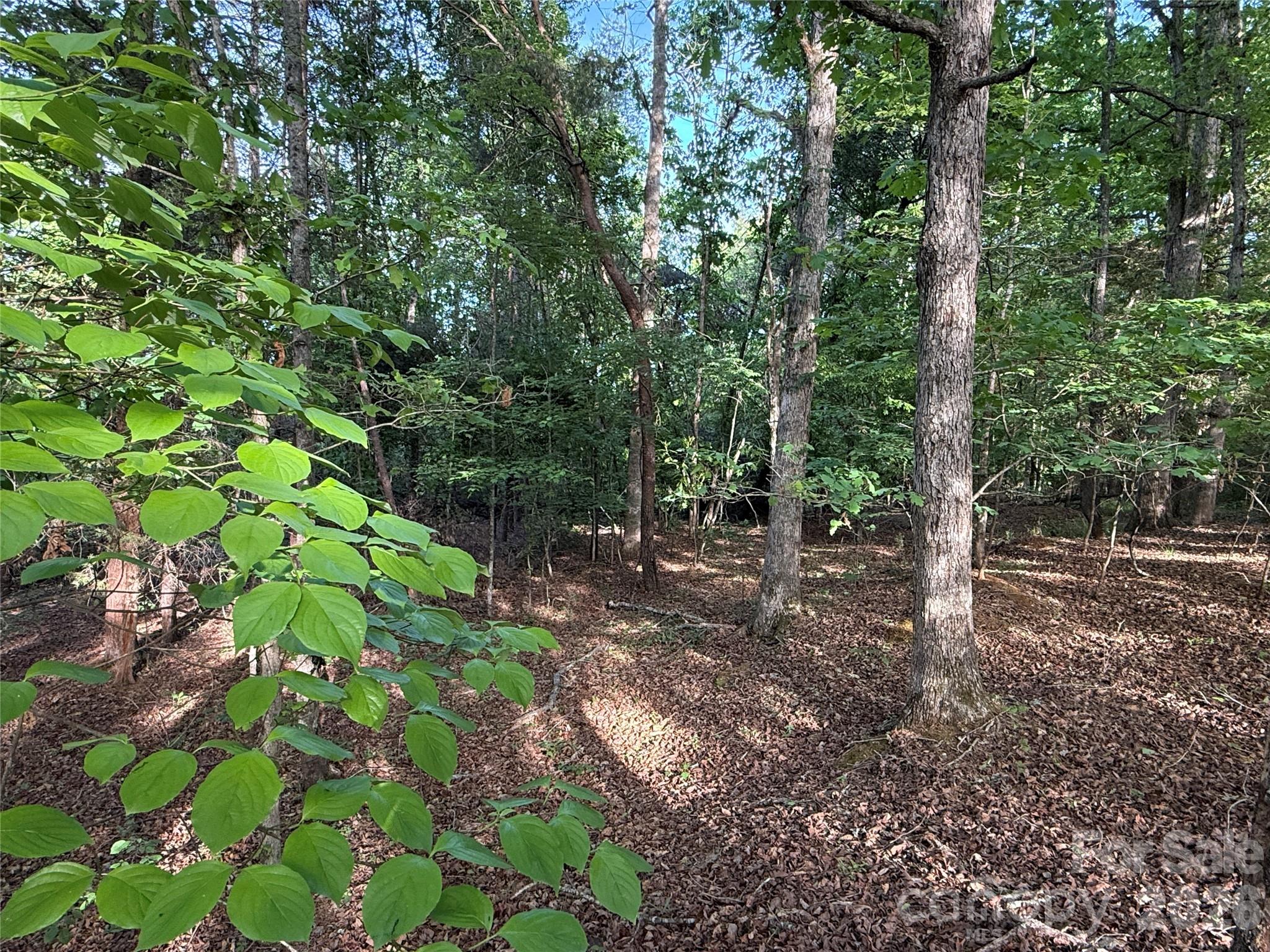 0 Shenandoah Drive 3b Property Photo 7