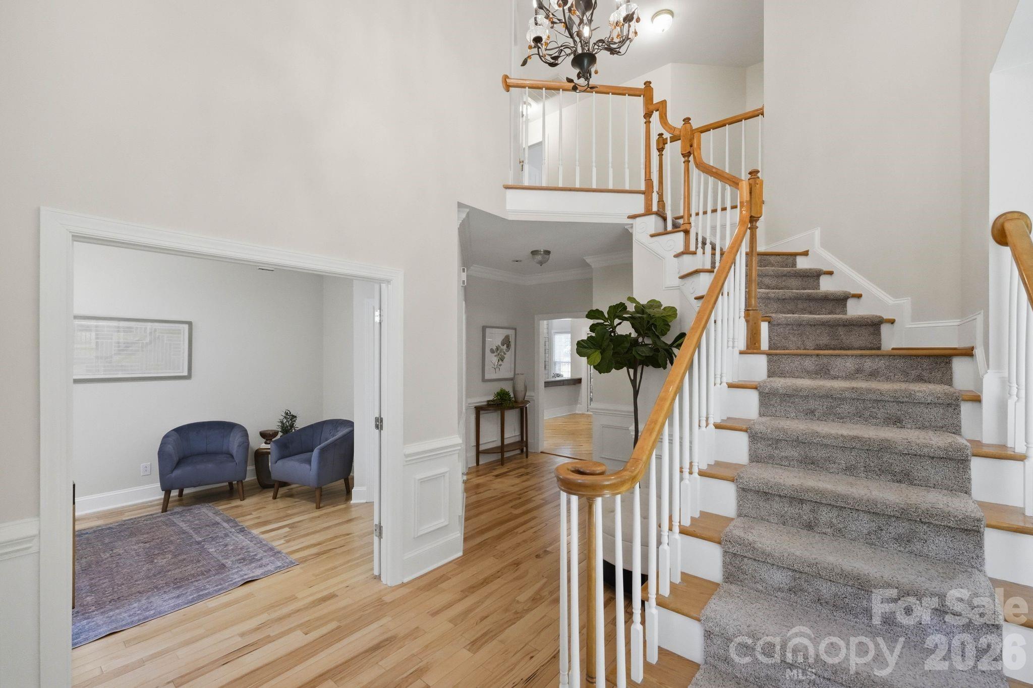 7006 Darnley Place Property Photo 4