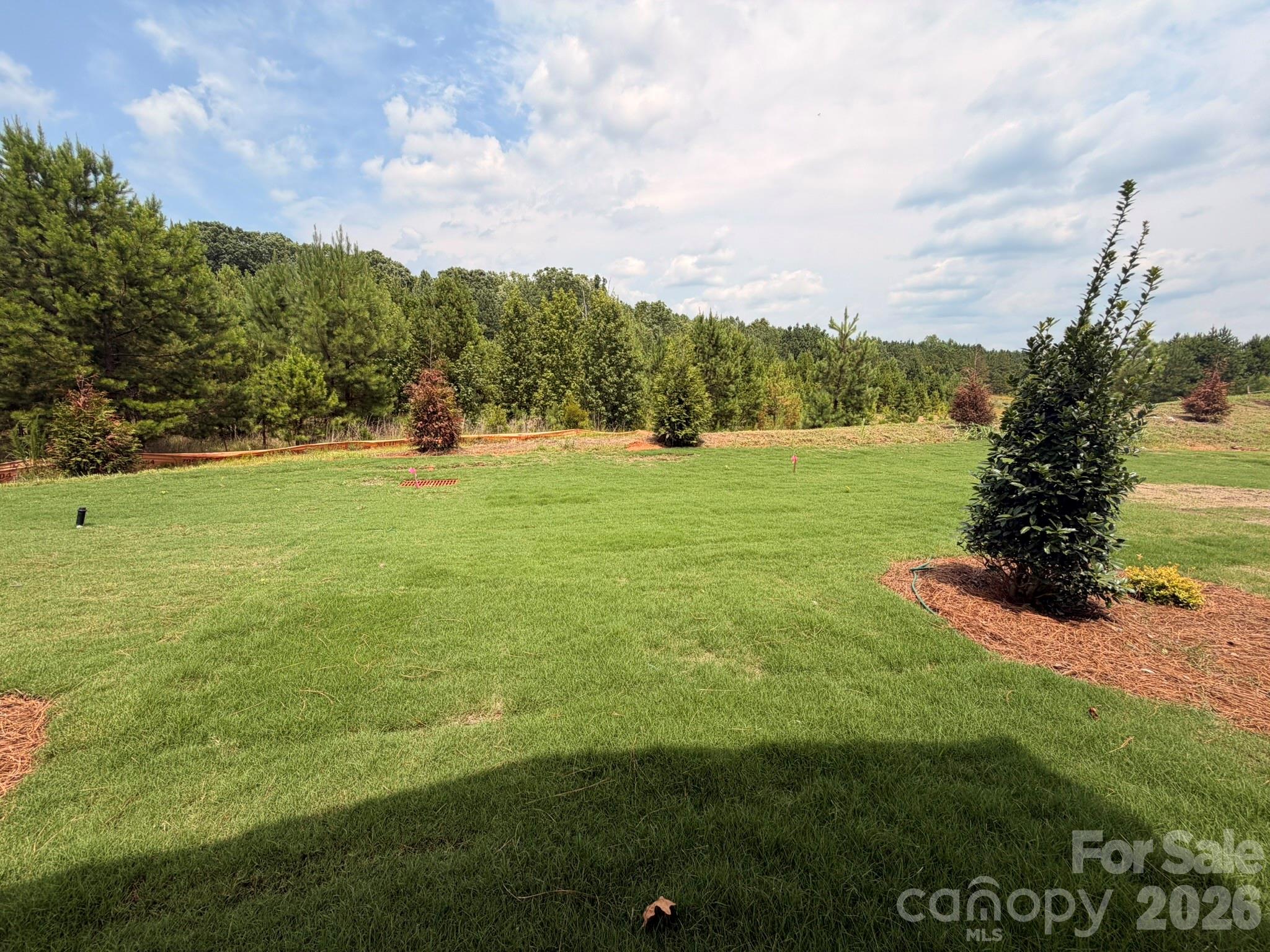 450 Blythe Townhome Lane Property Photo 19