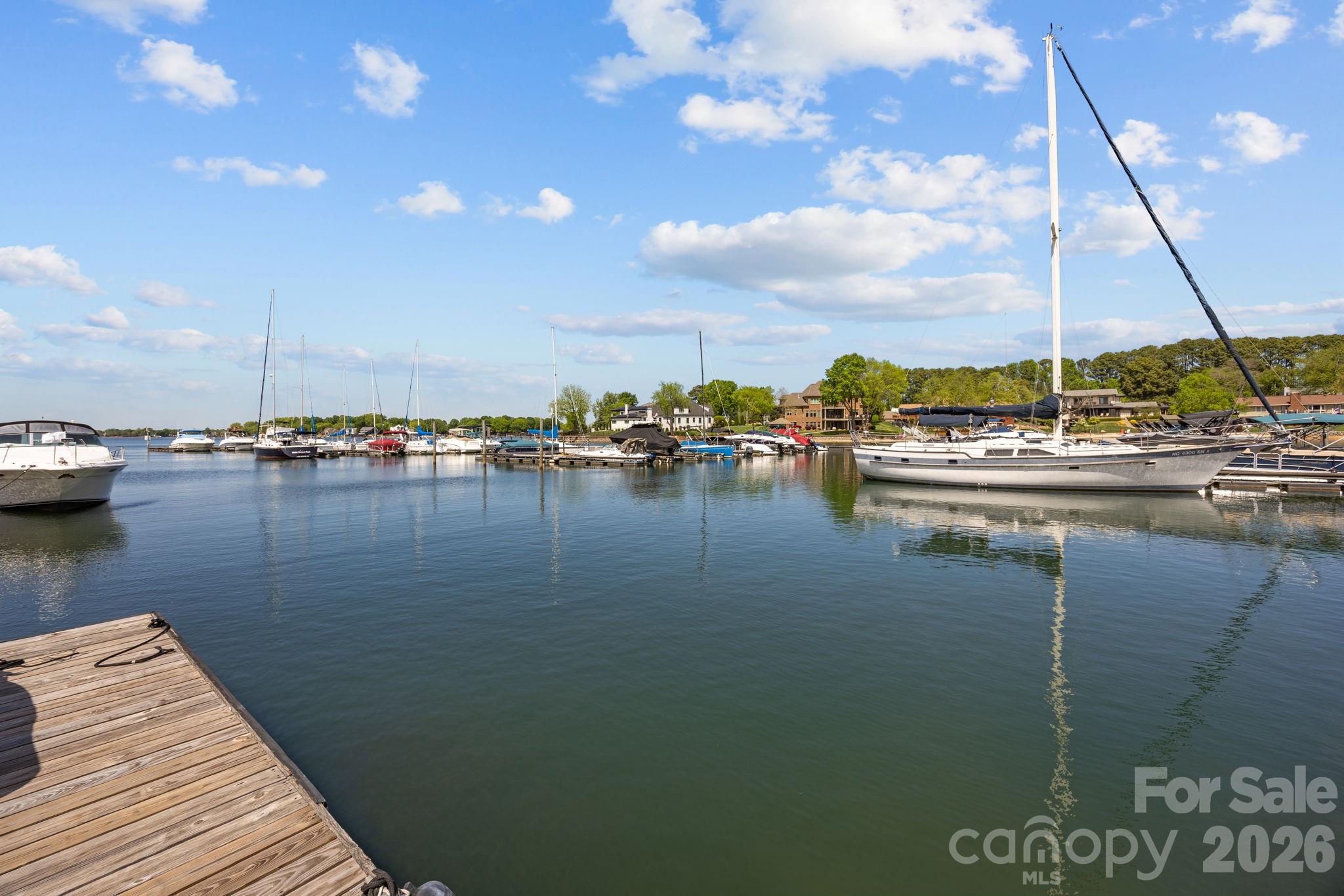 18749 Vineyard Point Lane Property Photo 24