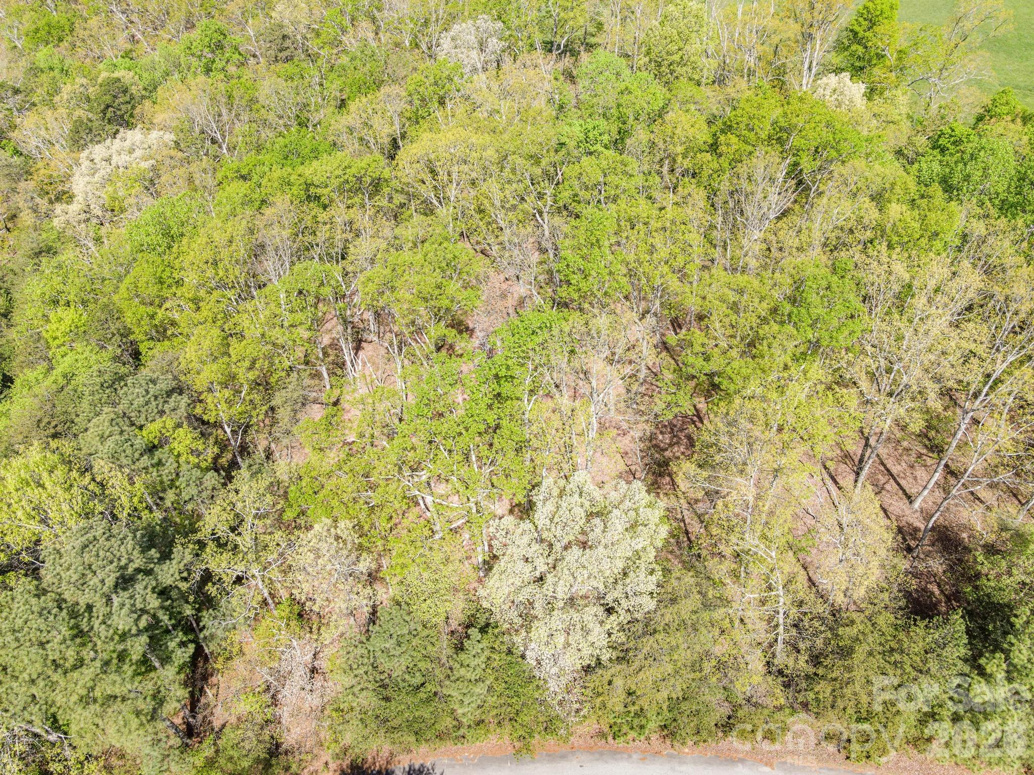 3805 Plantation Drive Property Photo 11