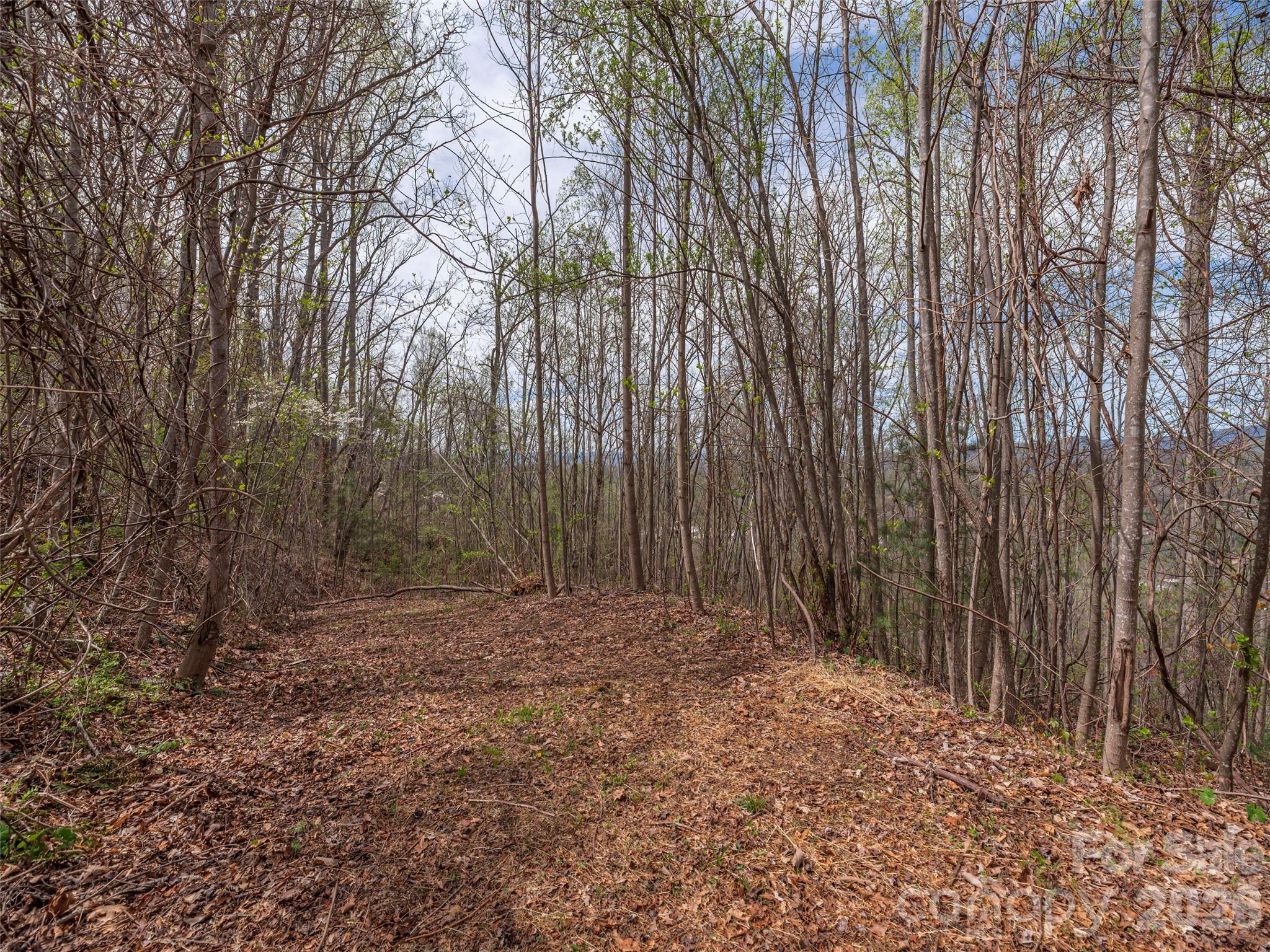 137 & 145 Cedar Mountain Road Property Photo 2