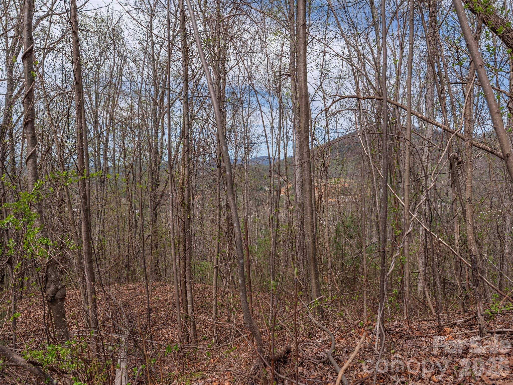 137 & 145 Cedar Mountain Road Property Photo 3