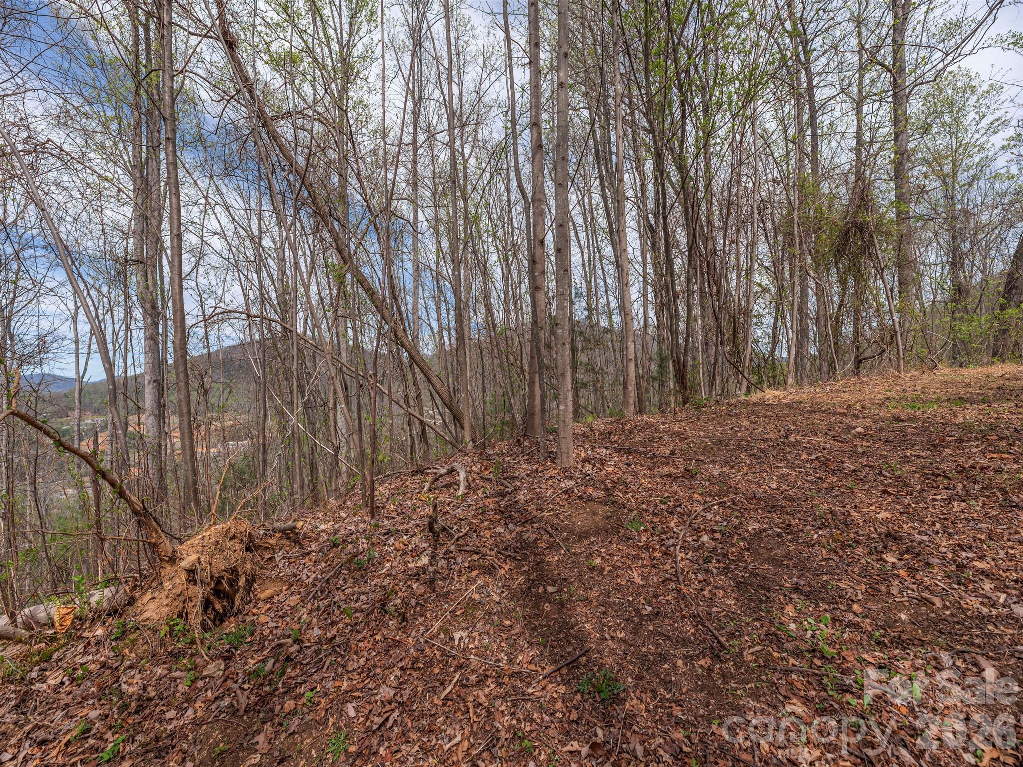 137 & 145 Cedar Mountain Road Property Photo 4