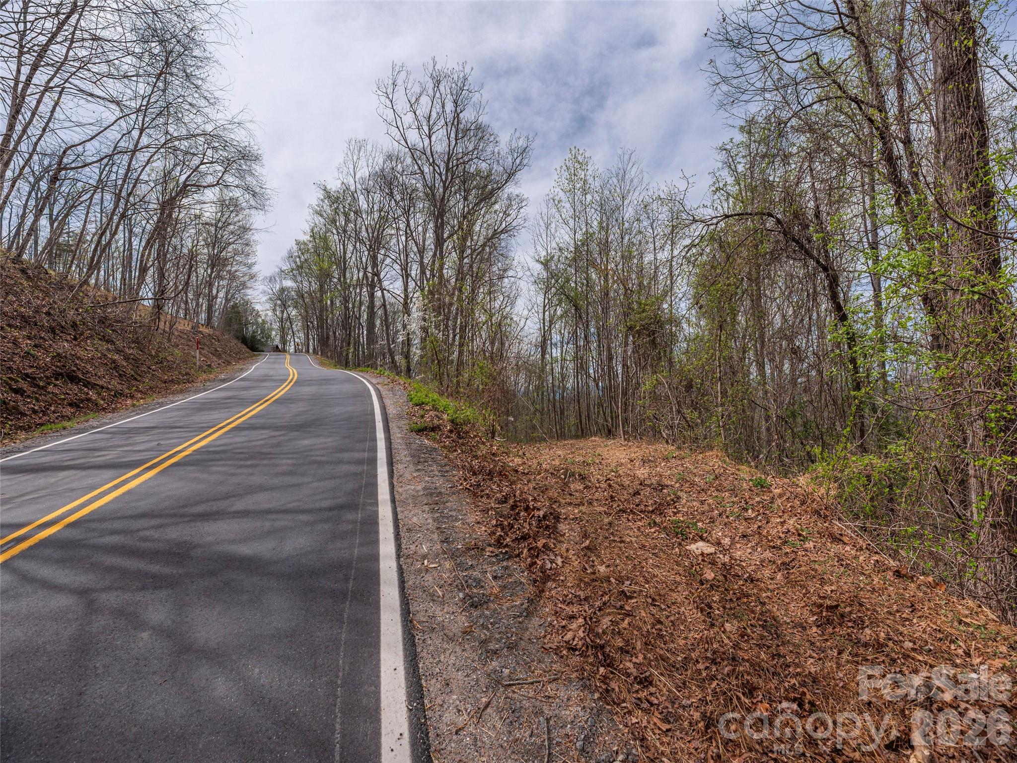137 & 145 Cedar Mountain Road Property Photo 5