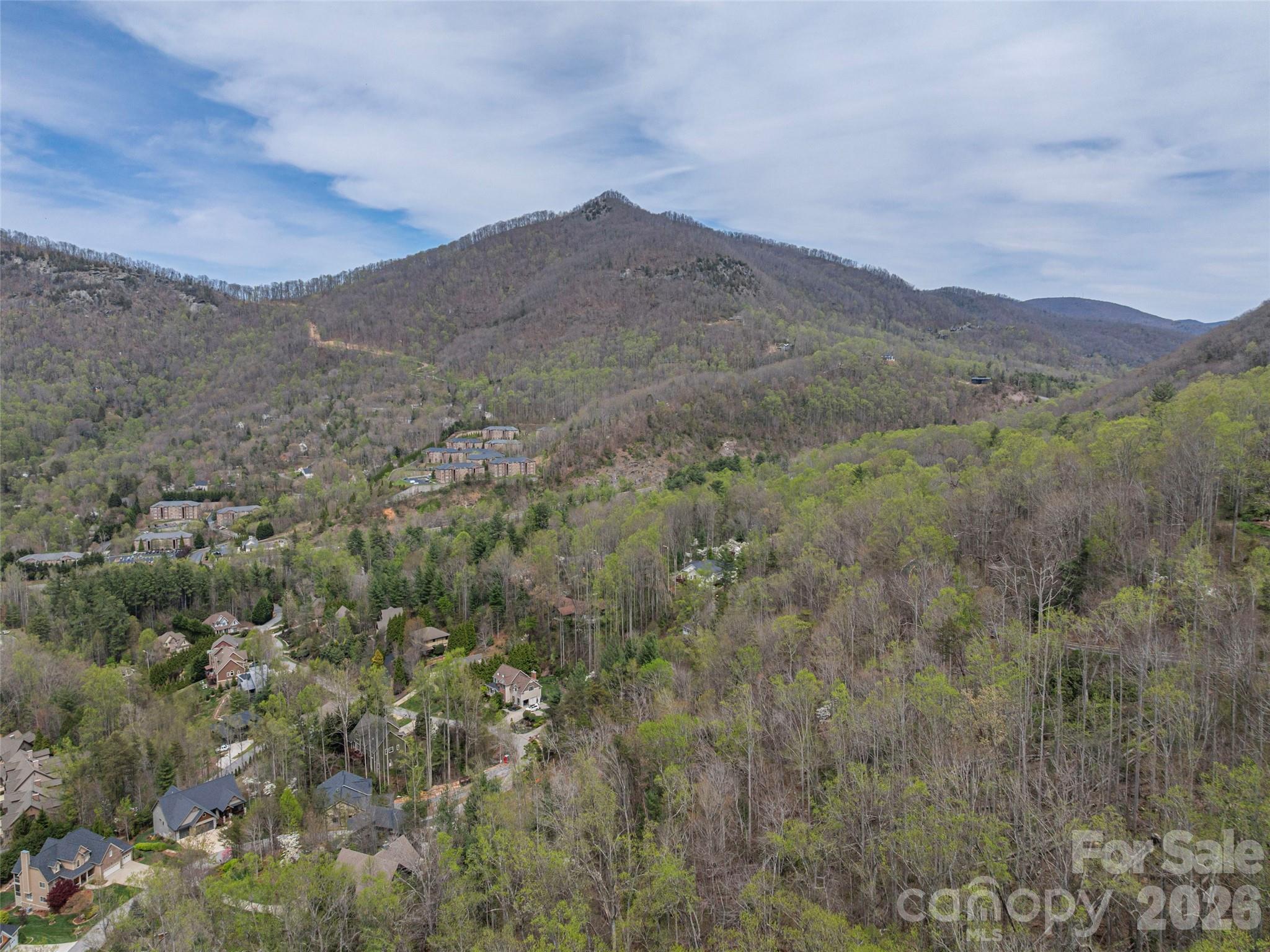 137 & 145 Cedar Mountain Road Property Photo 7