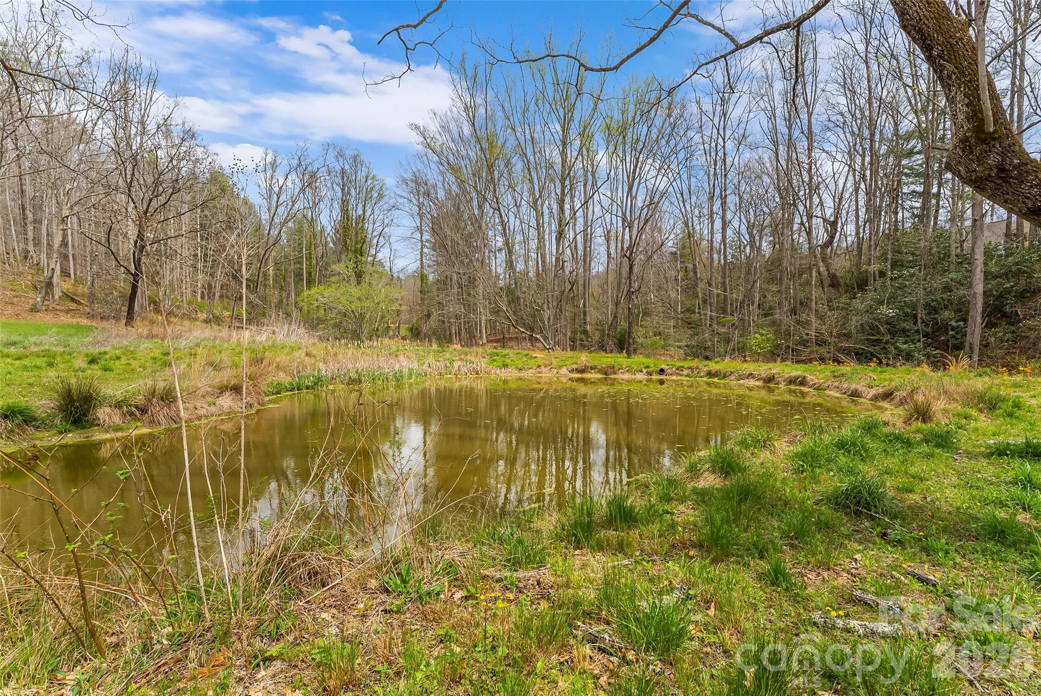 628 Brush Creek Road Property Photo 5