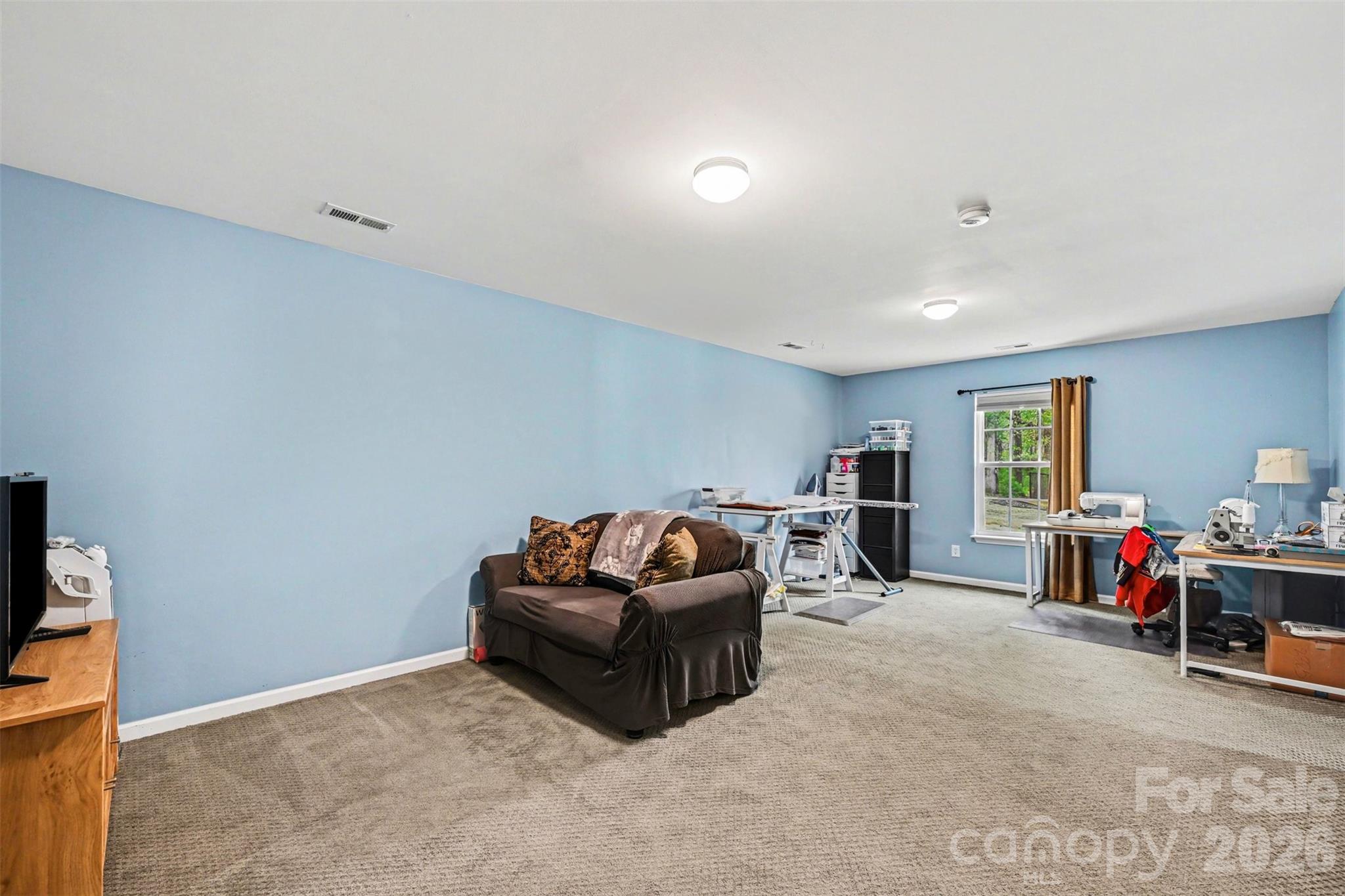 391 Lone Tree Lane Property Photo 19