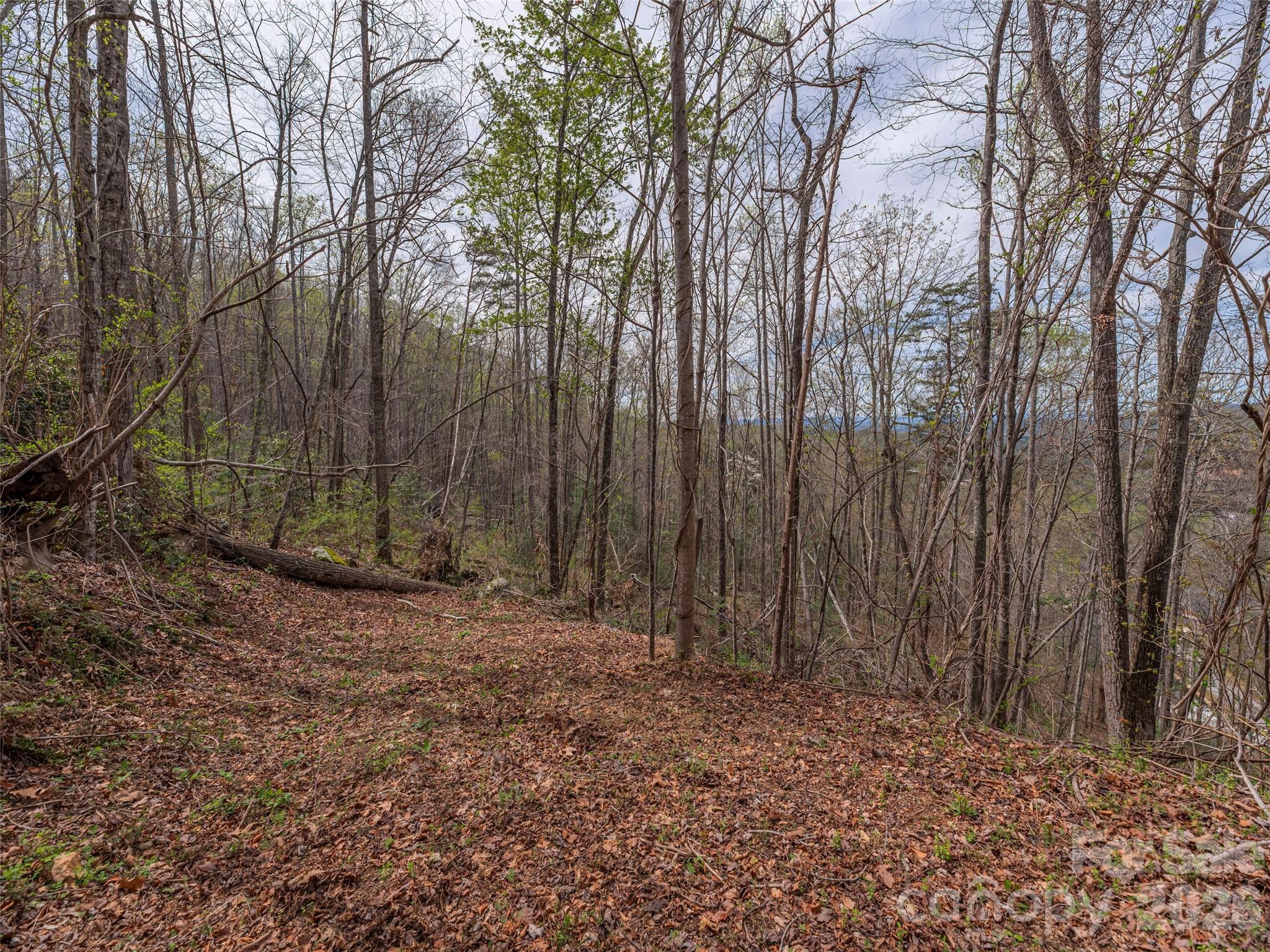 91 & 101 Cedar Mountain Road Property Photo 3