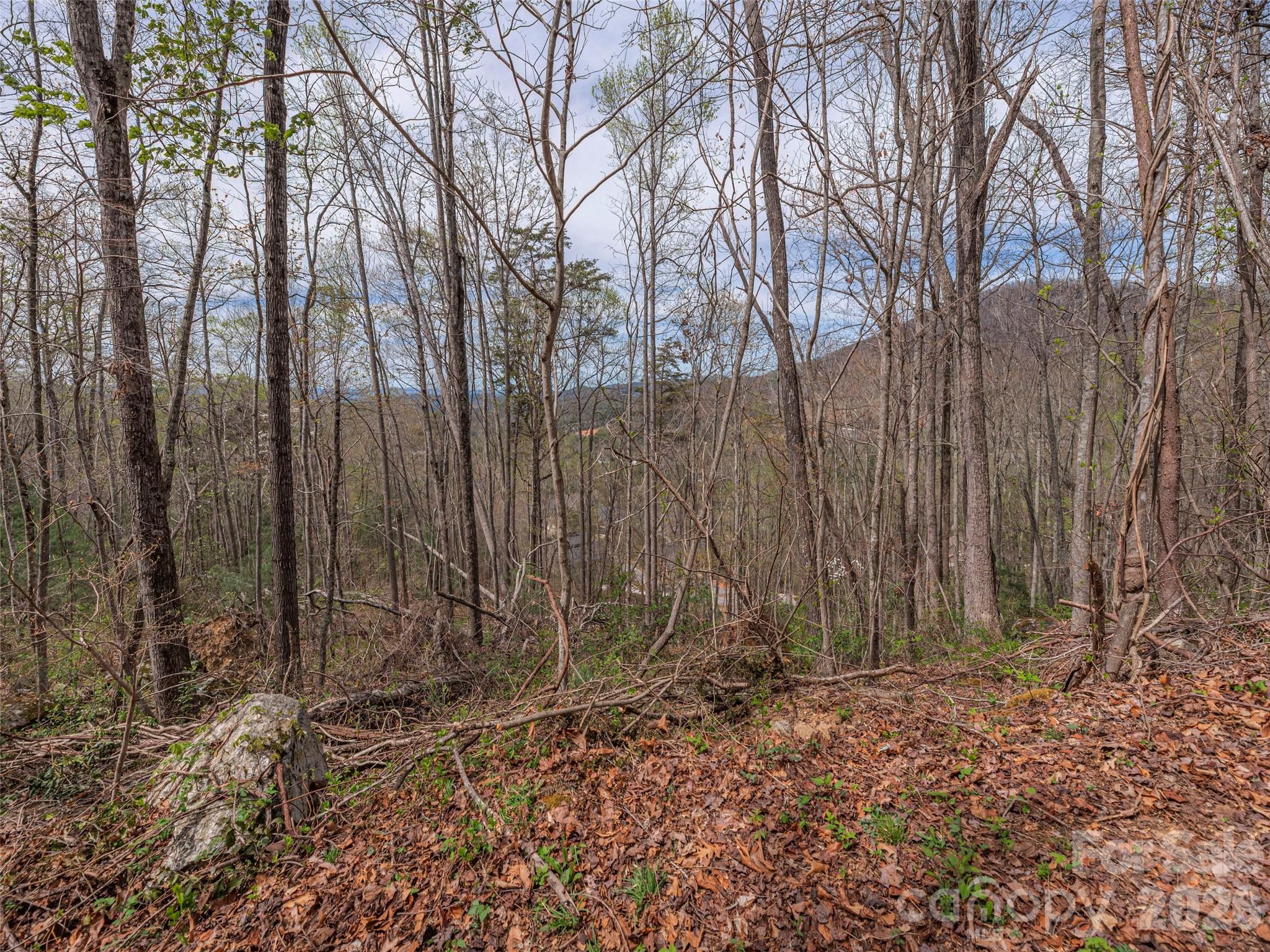 91 & 101 Cedar Mountain Road Property Photo 4