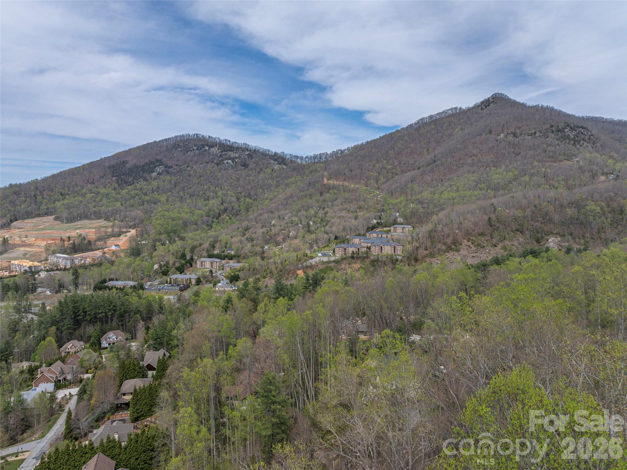91 & 101 Cedar Mountain Road Property Photo 5