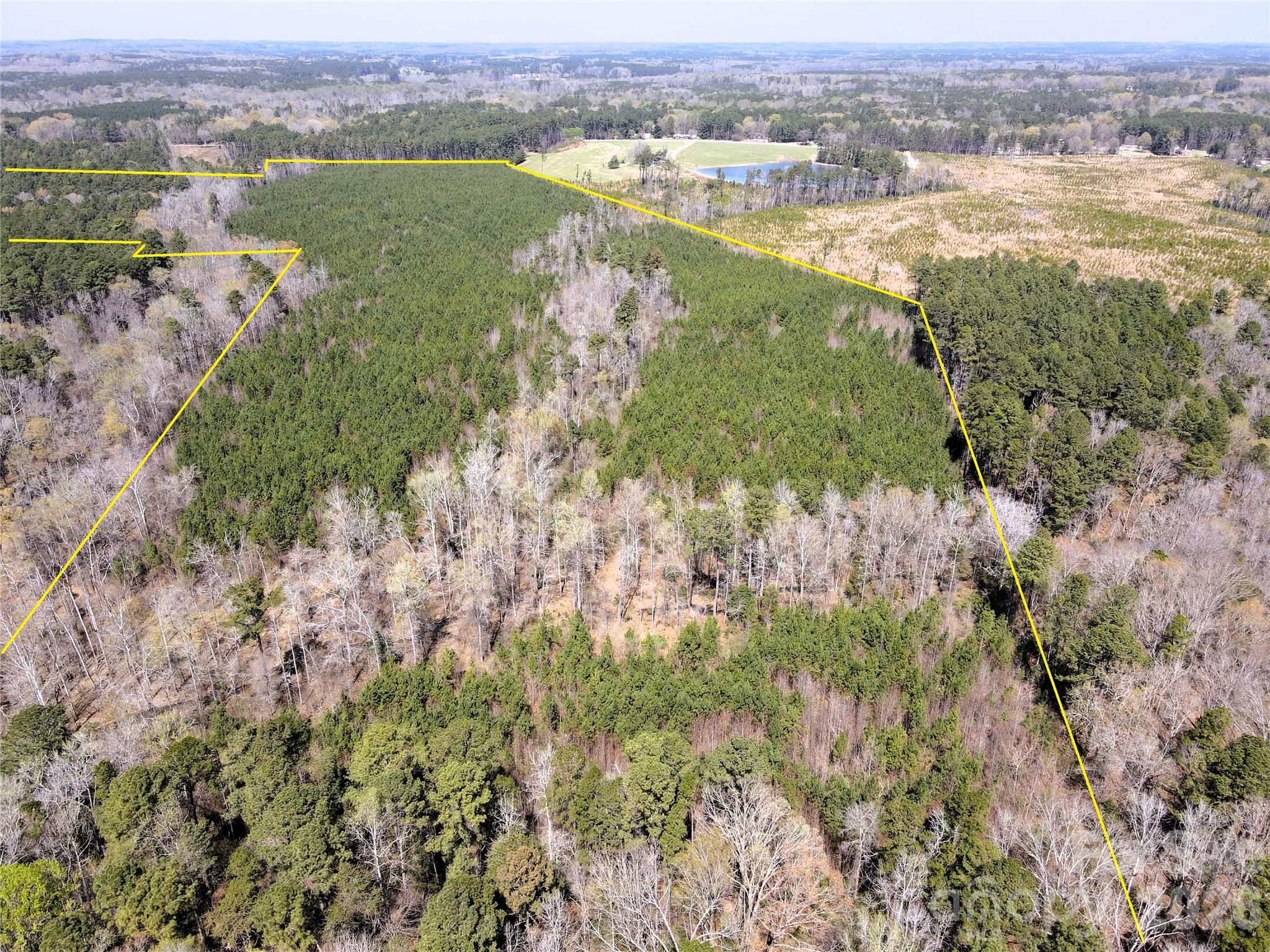 01 Collins Mountain Road Property Photo 2