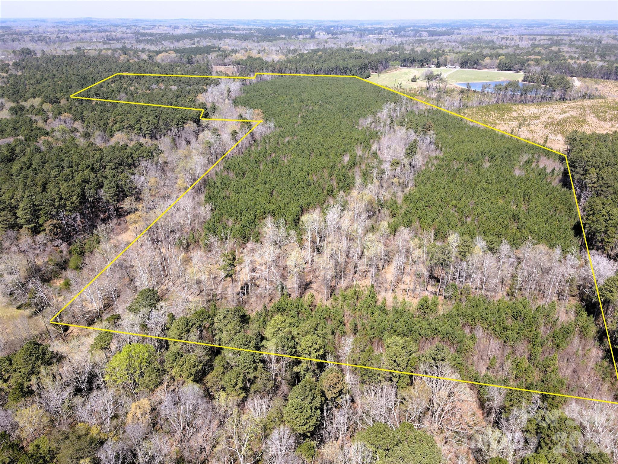 01 Collins Mountain Road Property Photo 4