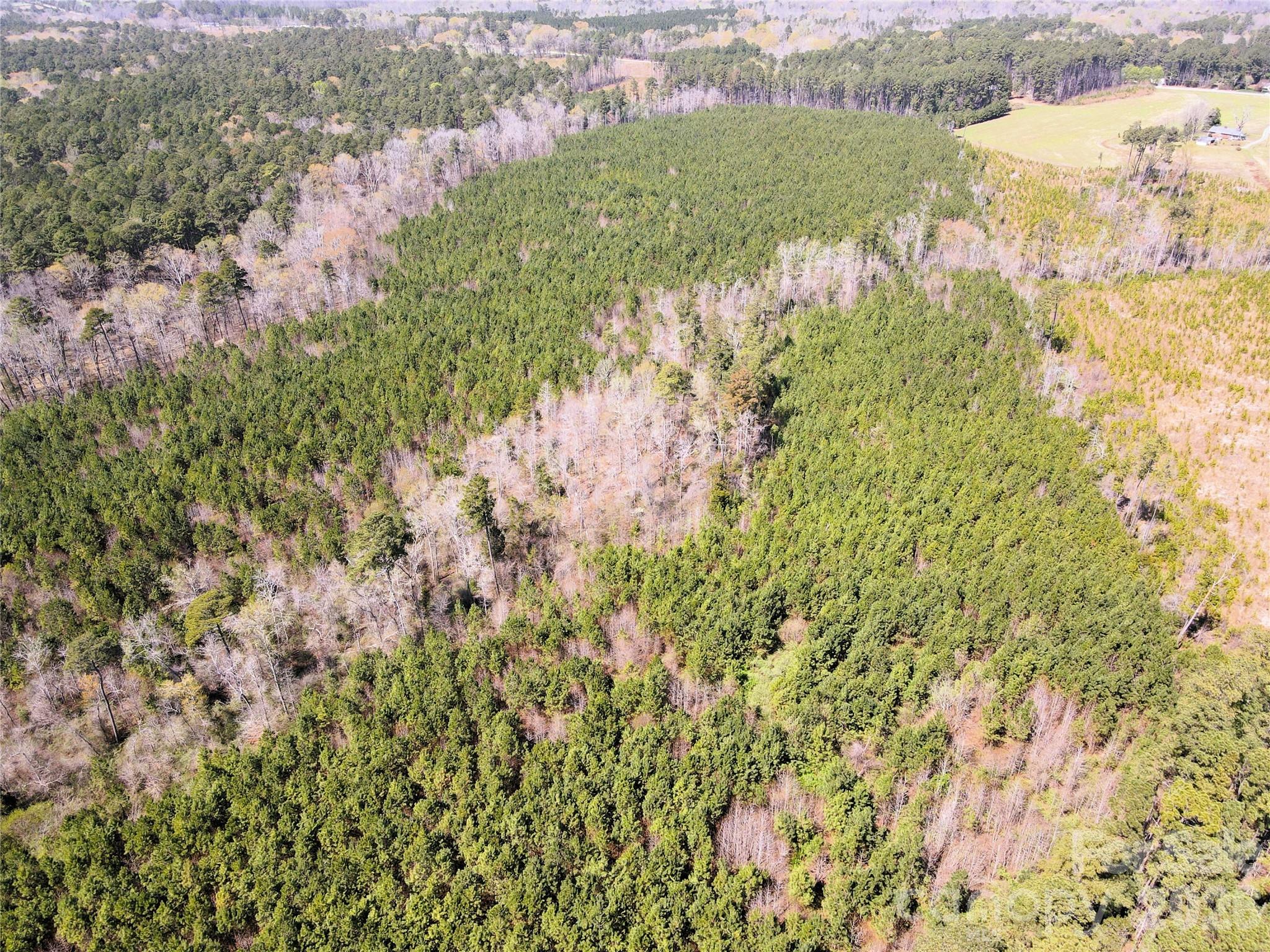 01 Collins Mountain Road Property Photo 5