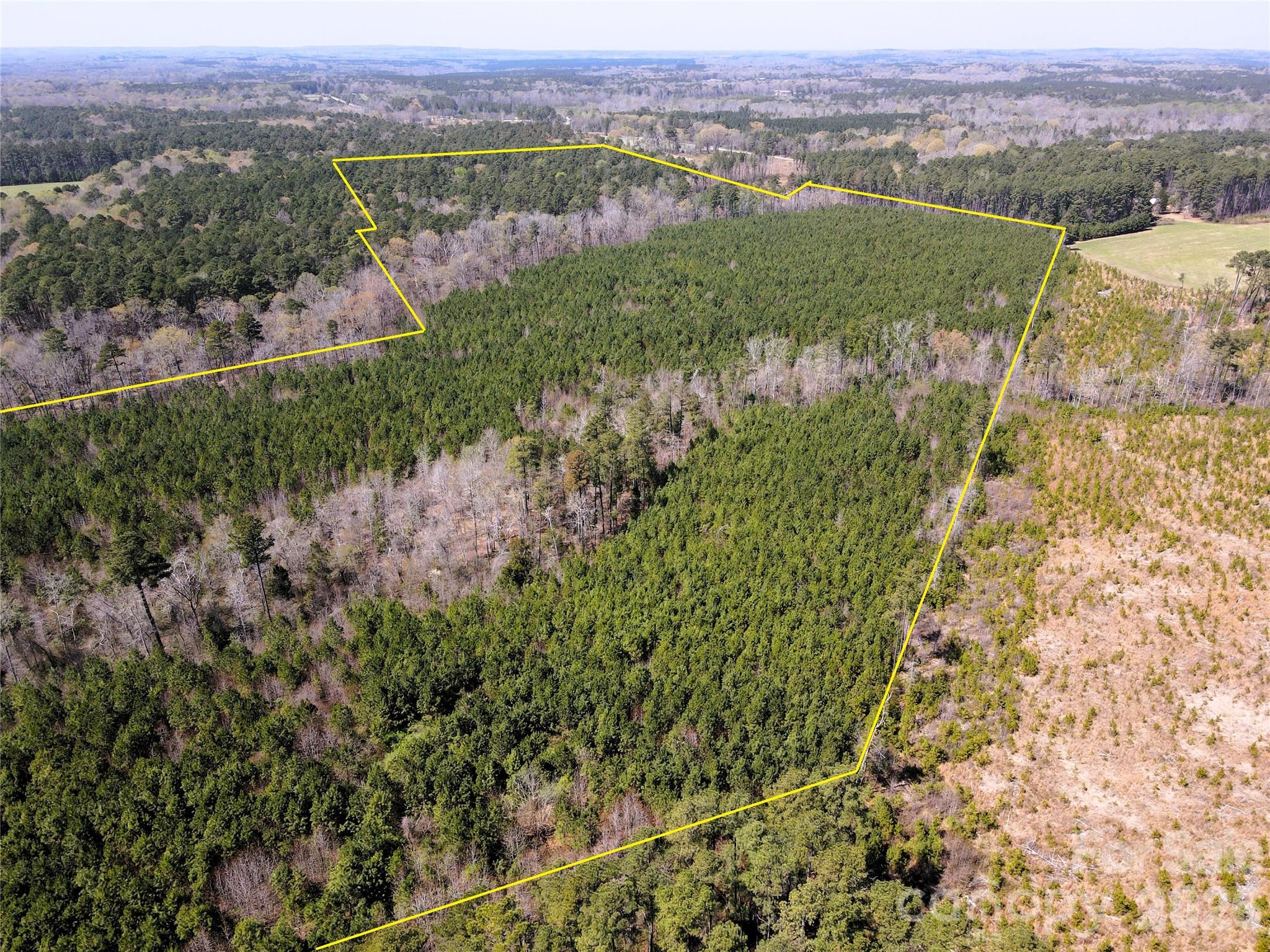 01 Collins Mountain Road Property Photo 6