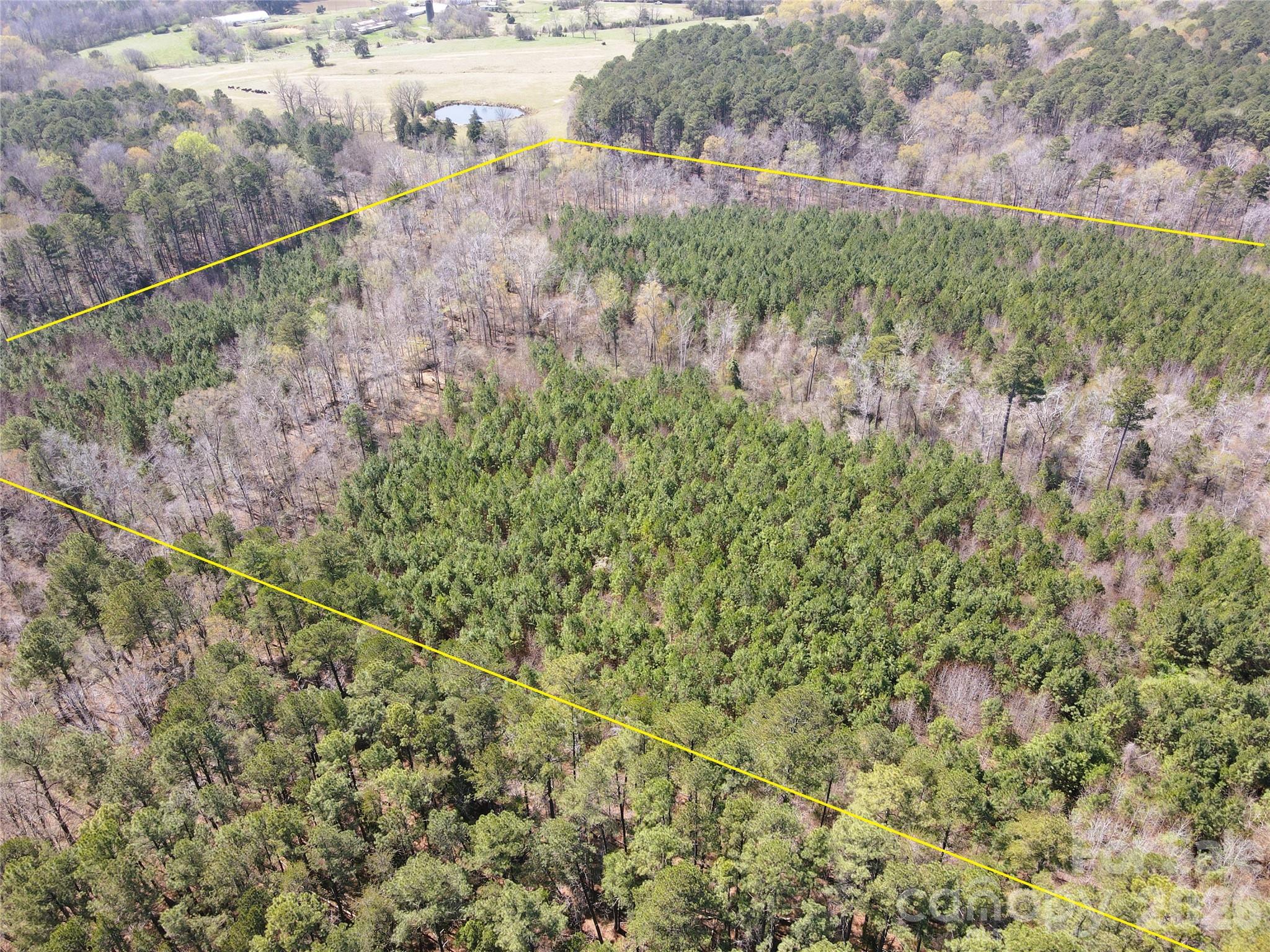 01 Collins Mountain Road Property Photo 7