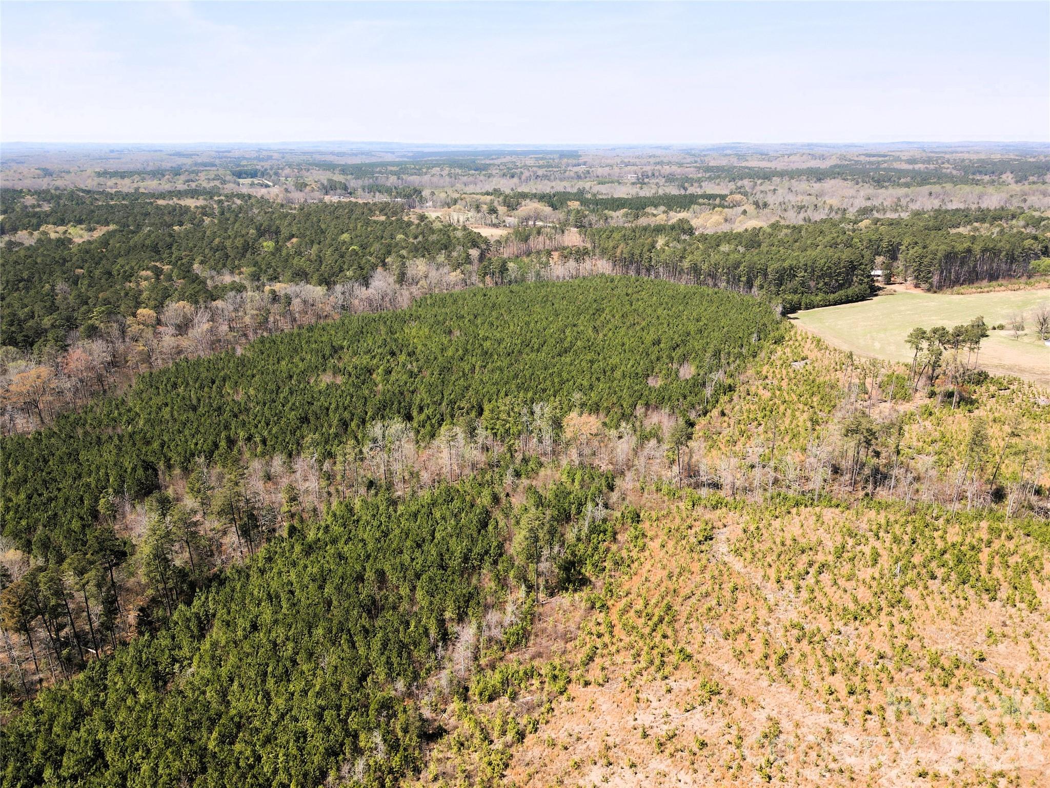 01 Collins Mountain Road Property Photo 8