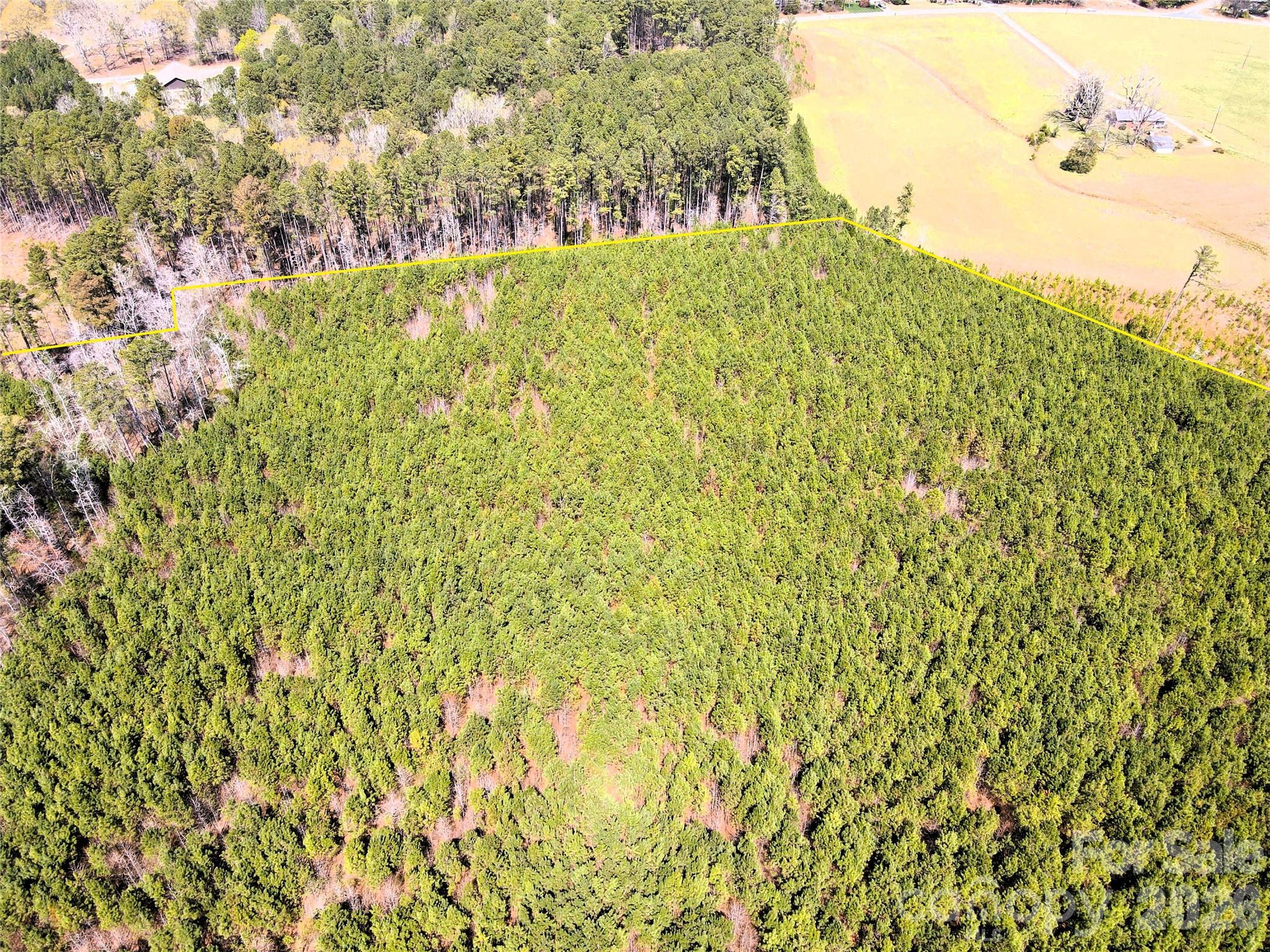 01 Collins Mountain Road Property Photo 10