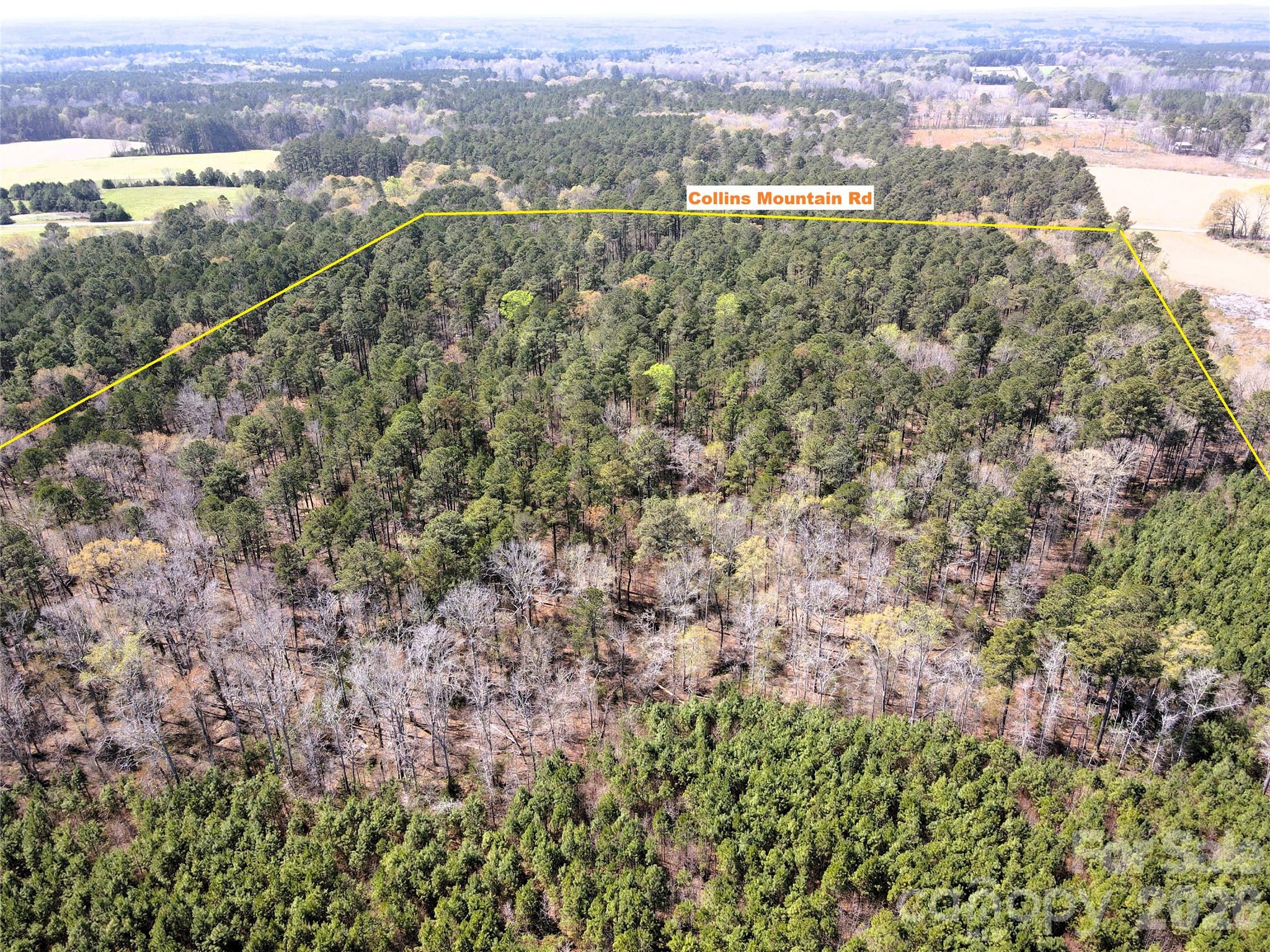 01 Collins Mountain Road Property Photo 11