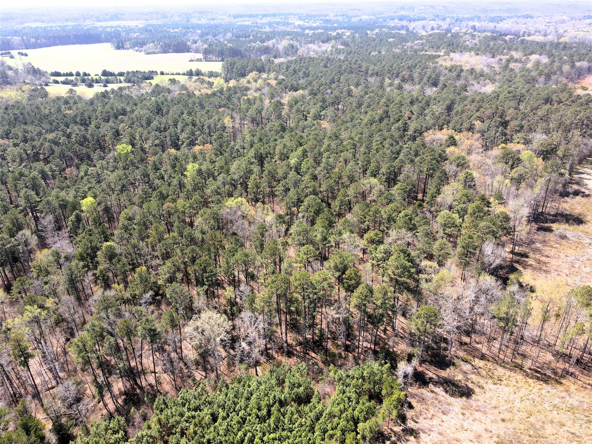 01 Collins Mountain Road Property Photo 13