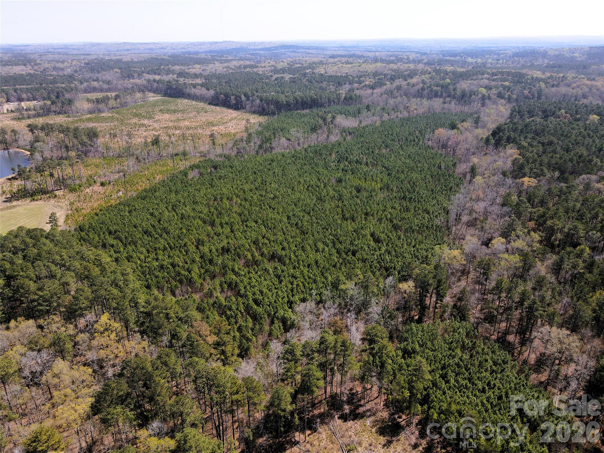 01 Collins Mountain Road Property Photo 16