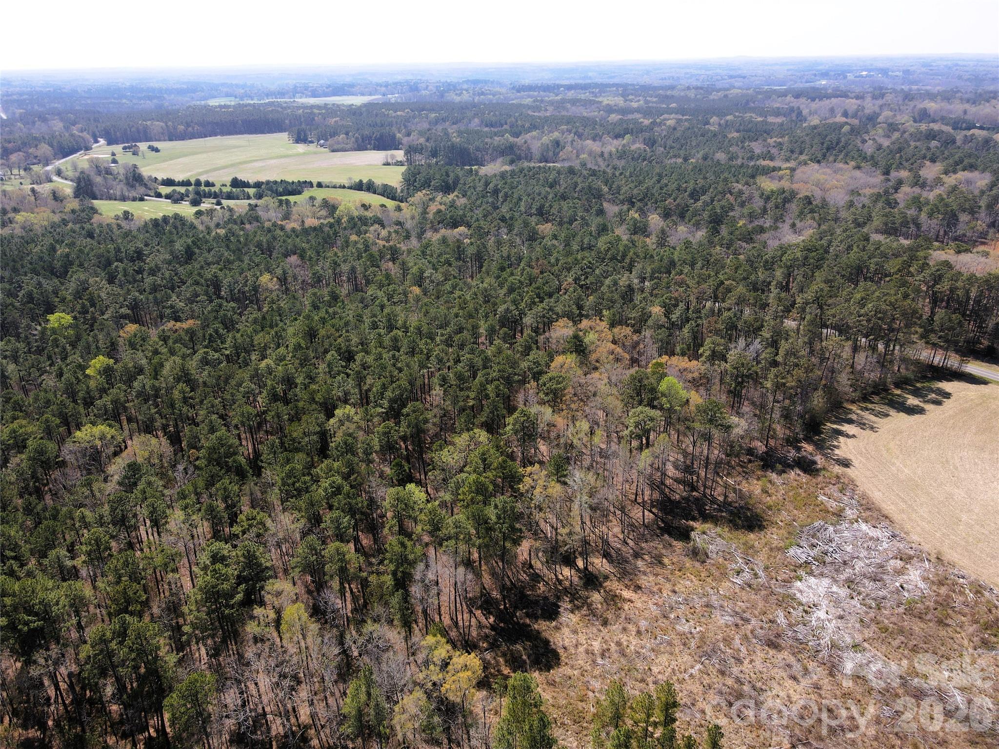 01 Collins Mountain Road Property Photo 17