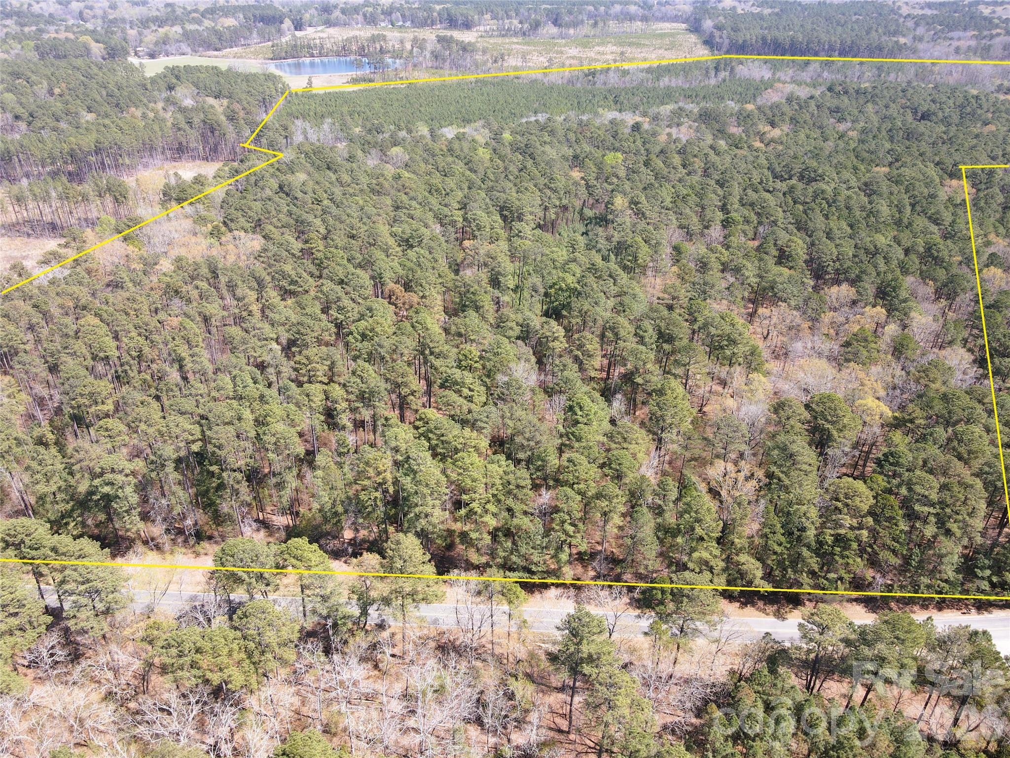 01 Collins Mountain Road Property Photo 18