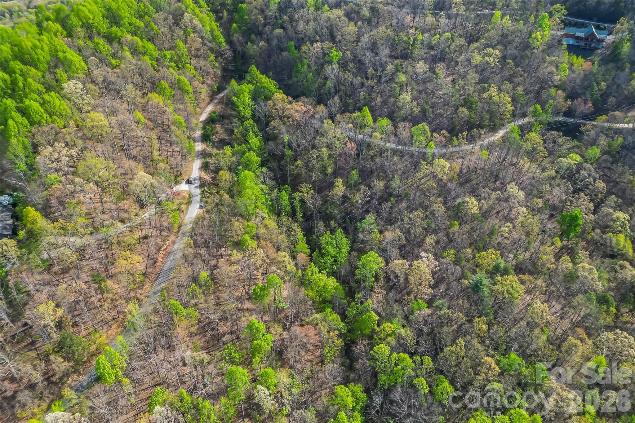 0 High Peak Mountain Road Property Photo 9