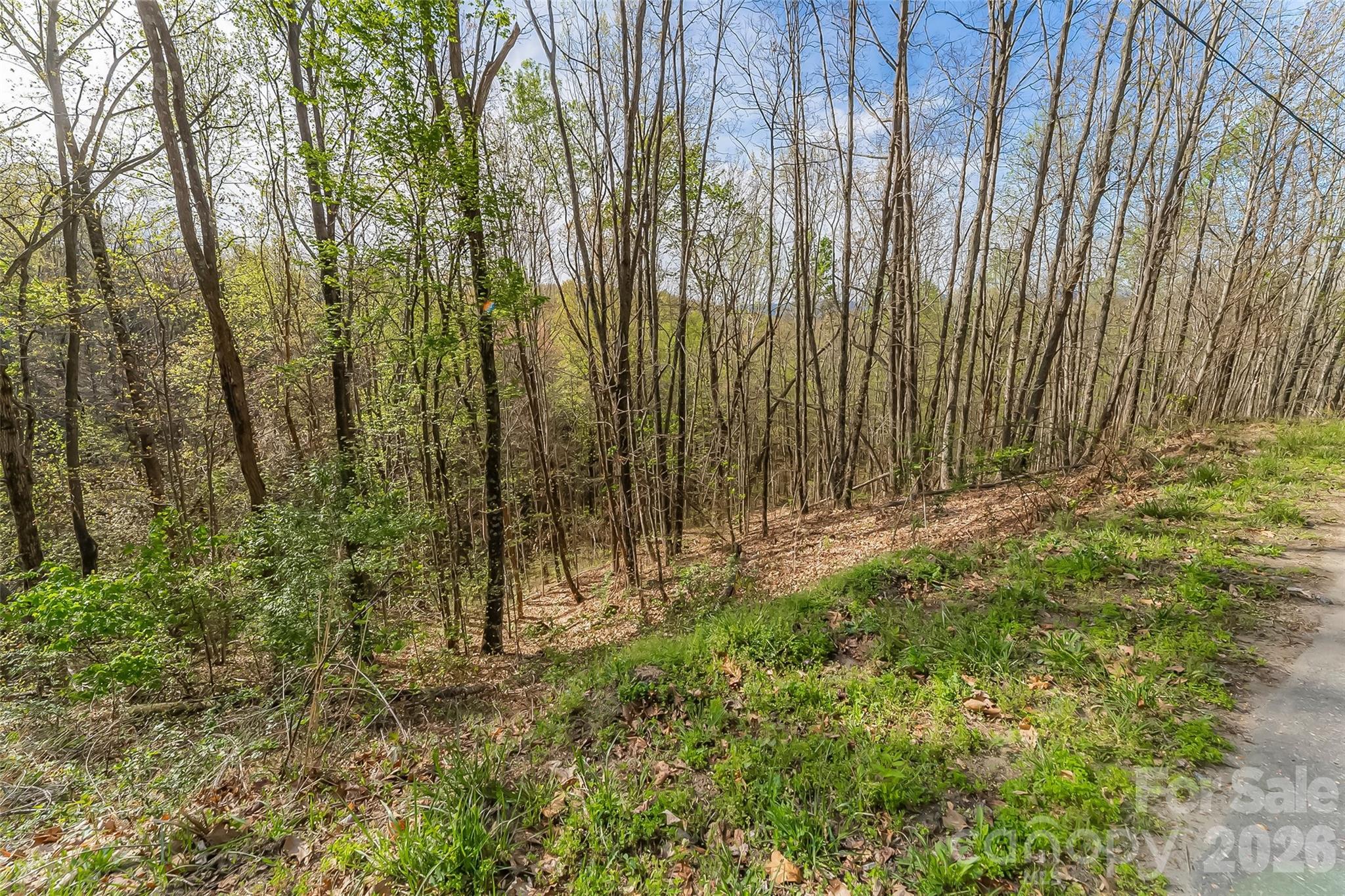 0 High Peak Mountain Road Property Photo 10